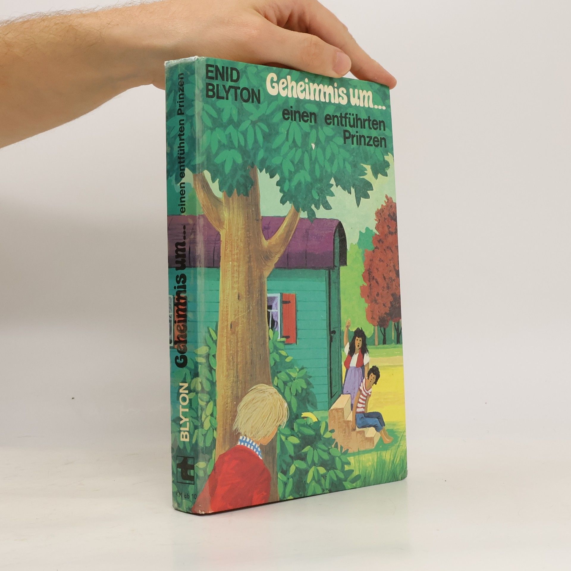 Enid Blyton Geheimnis um... einen entführten Prinzen