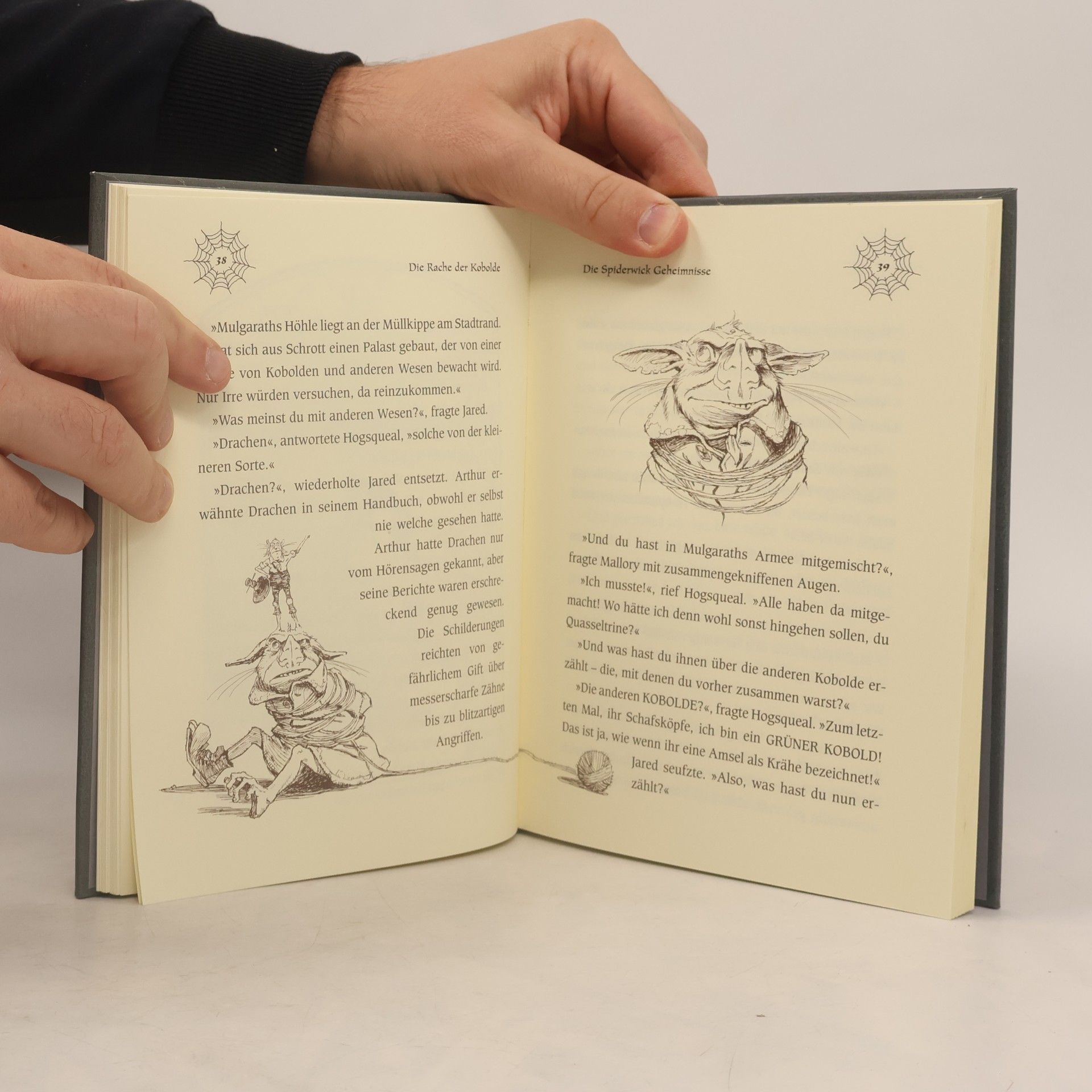 Holly Black Die Spiderwick-Geheimnisse 5. Die Rache der Kobolde