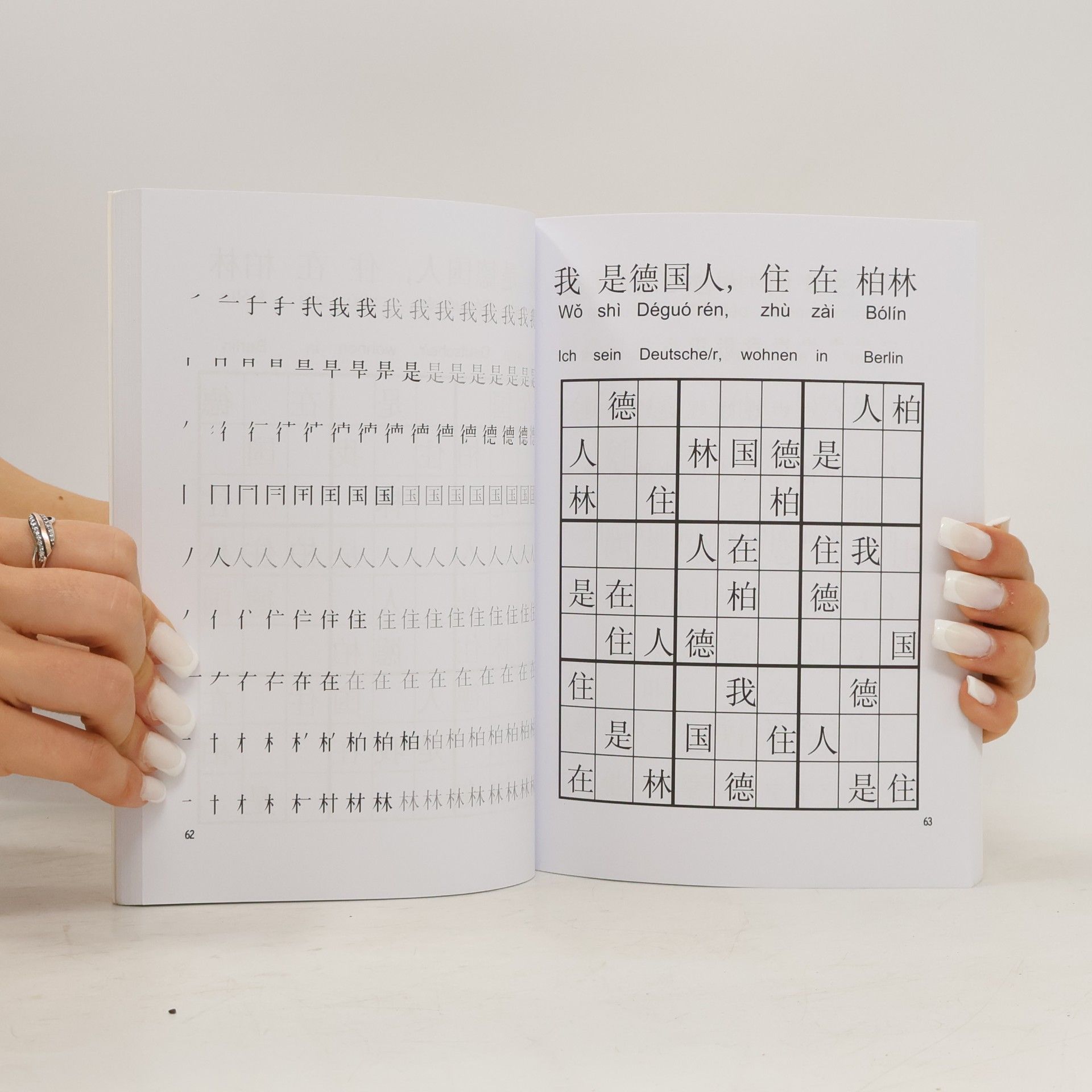 Paolo Padoan Sino-Sudoku