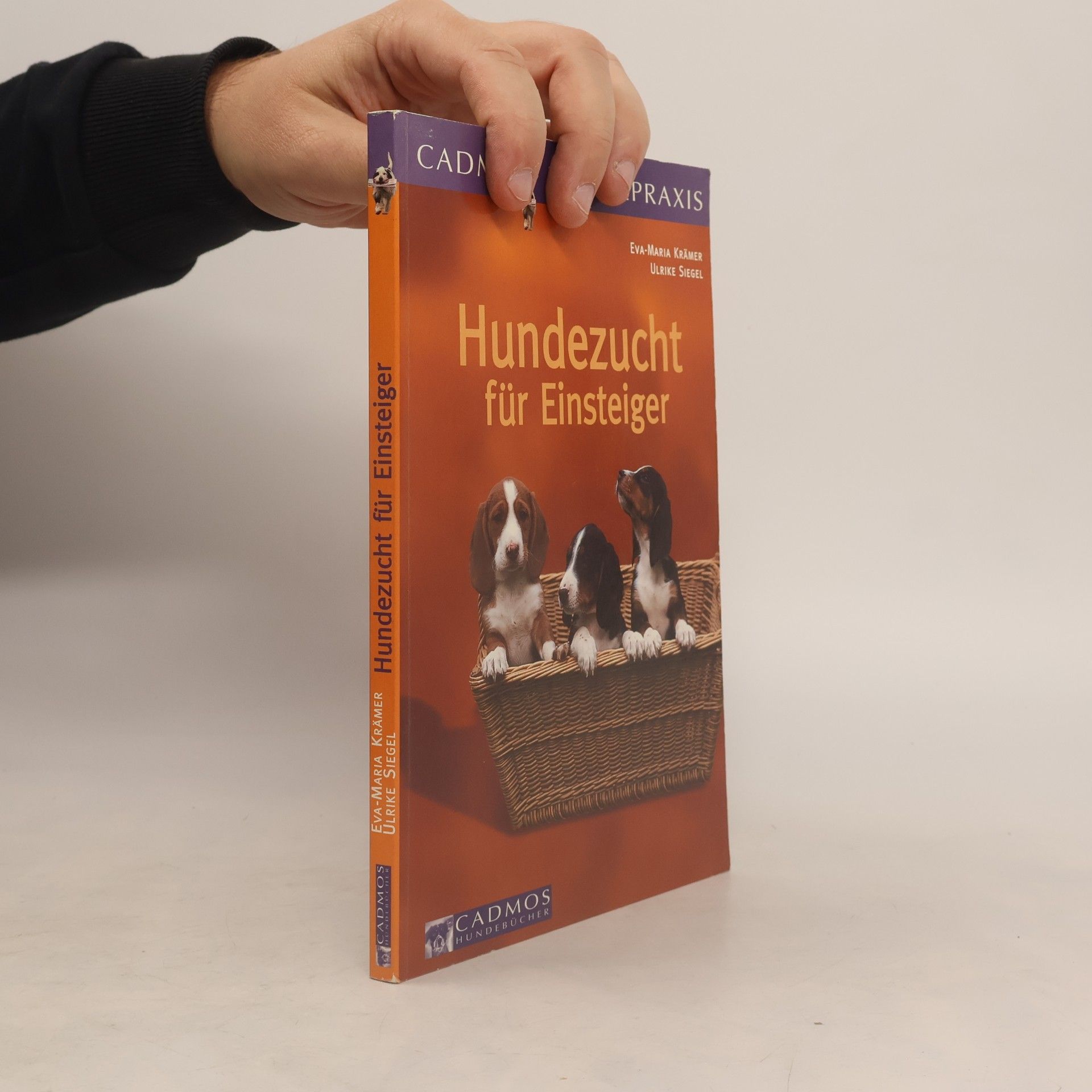 Hundezucht für Einsteiger