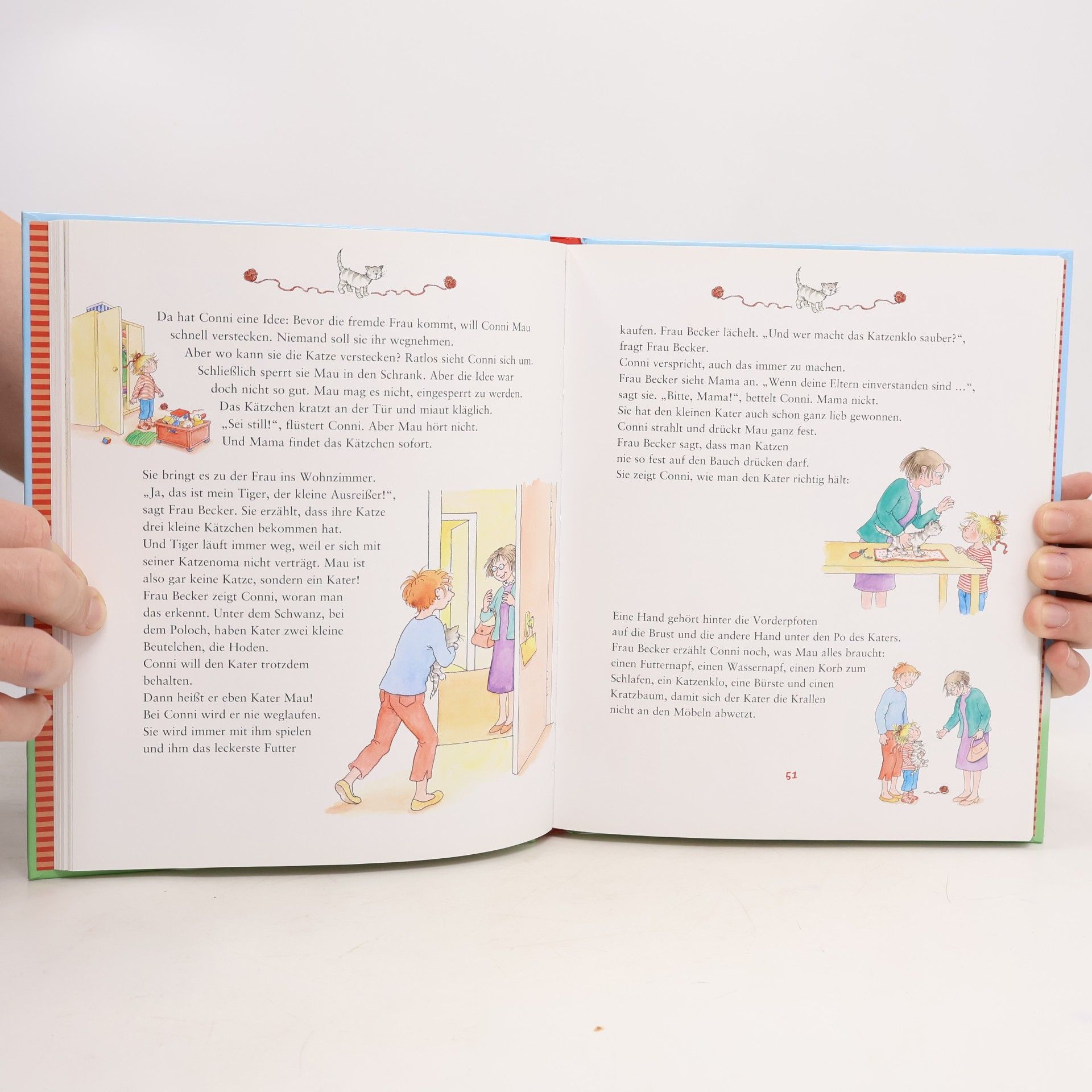 Liane Schneider Das große Conni-Buch