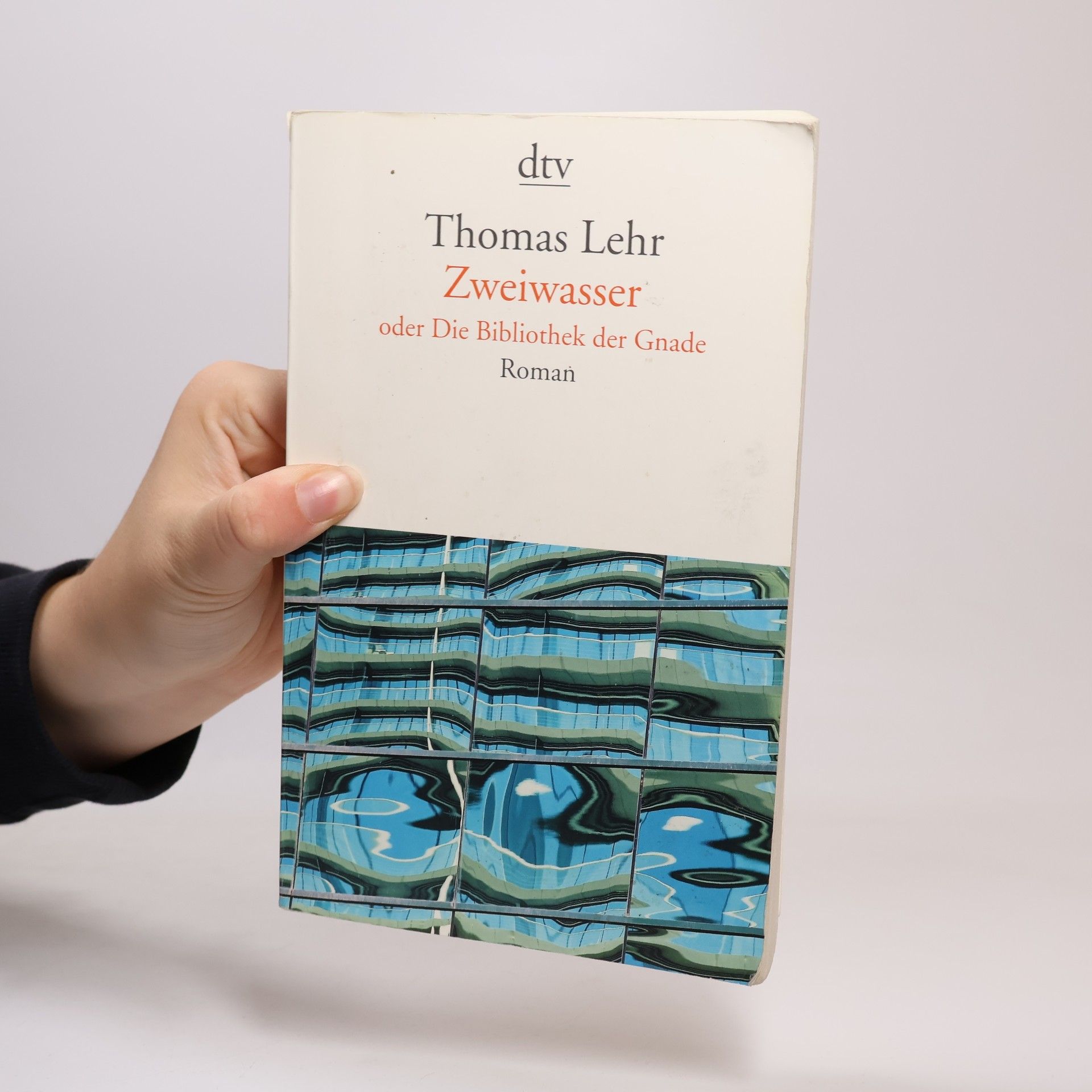 Thomas Lehr Zweiwasser oder die Bibliothek der Gnade