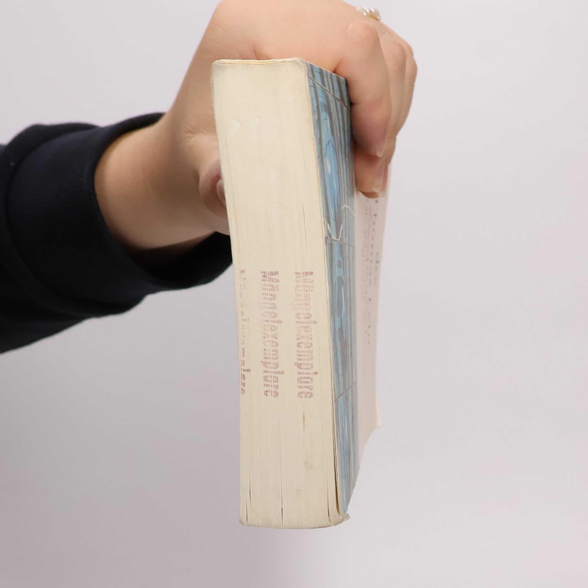 Thomas Lehr Zweiwasser oder die Bibliothek der Gnade