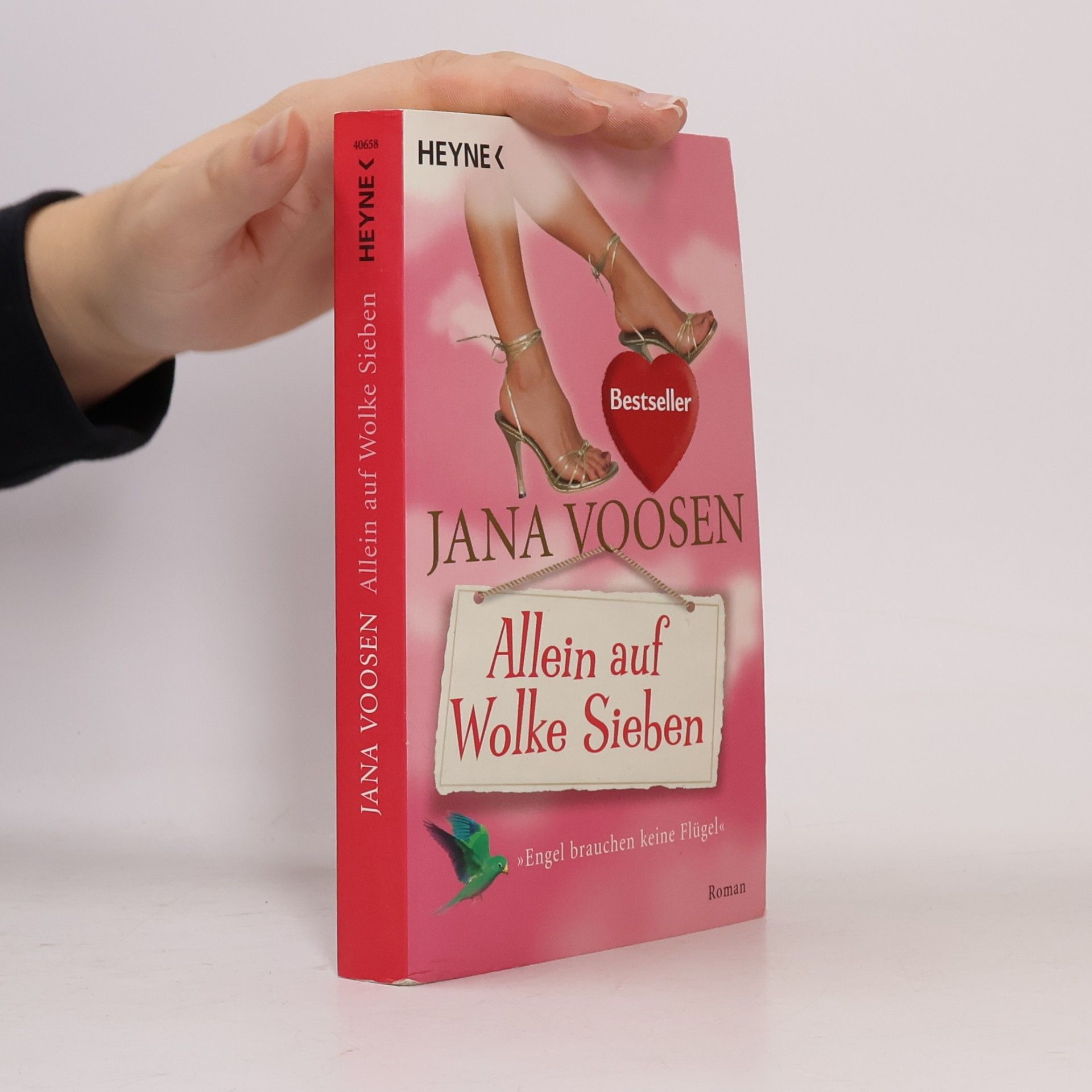 Jana Voosen Allein auf Wolke sieben