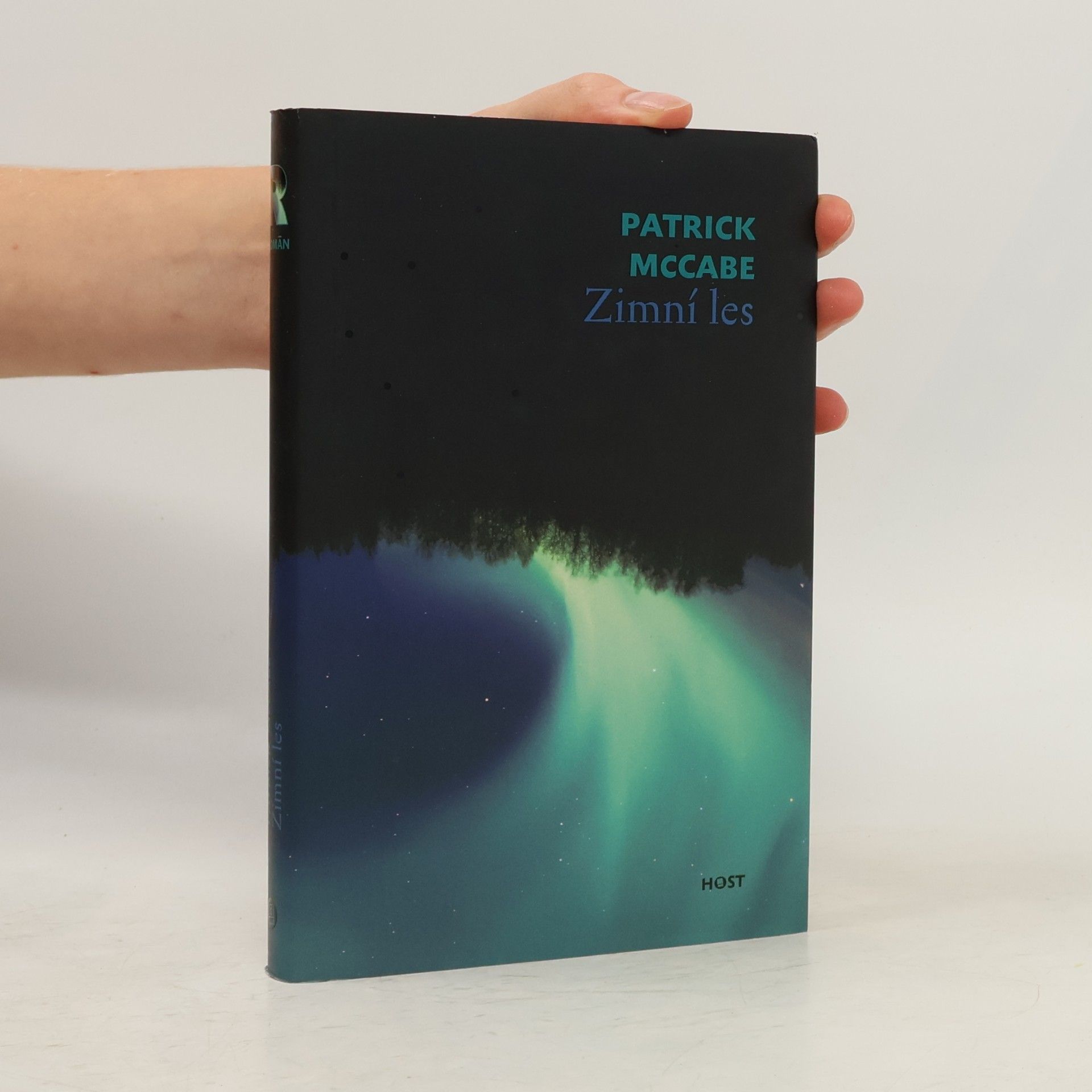 Patrick McCabe Zimní les