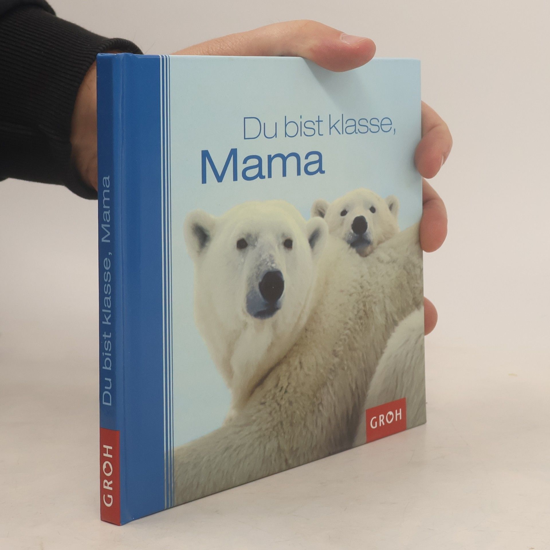 Dorothée Bleker Du bist klasse, Mama
