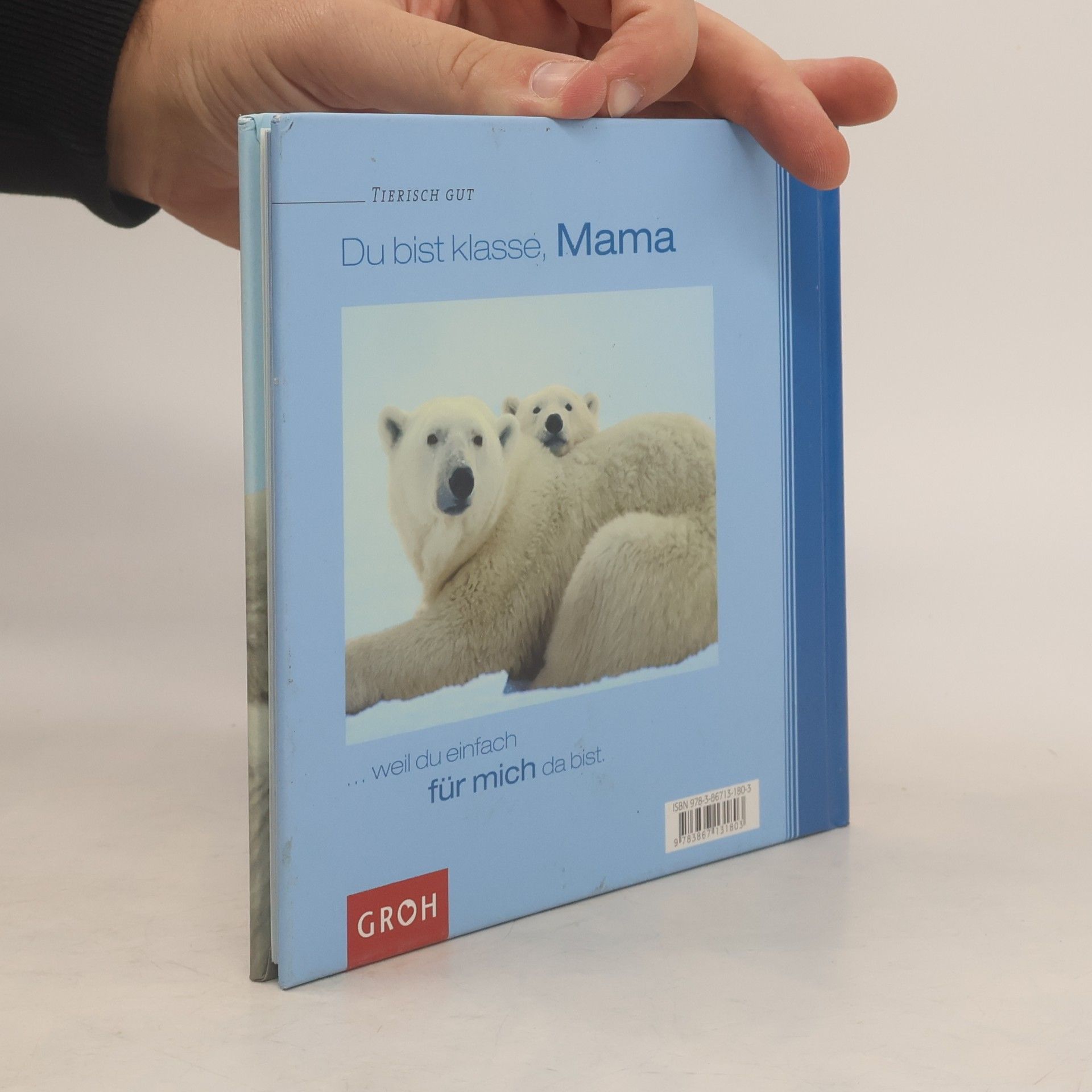 Dorothée Bleker Du bist klasse, Mama