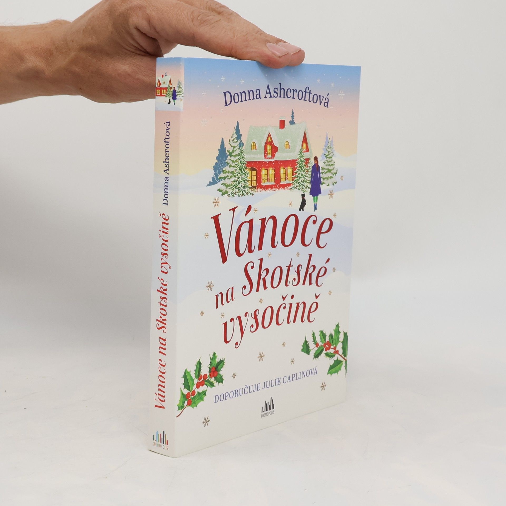 Donna Ashcroft Vánoce na Skotské vysočině