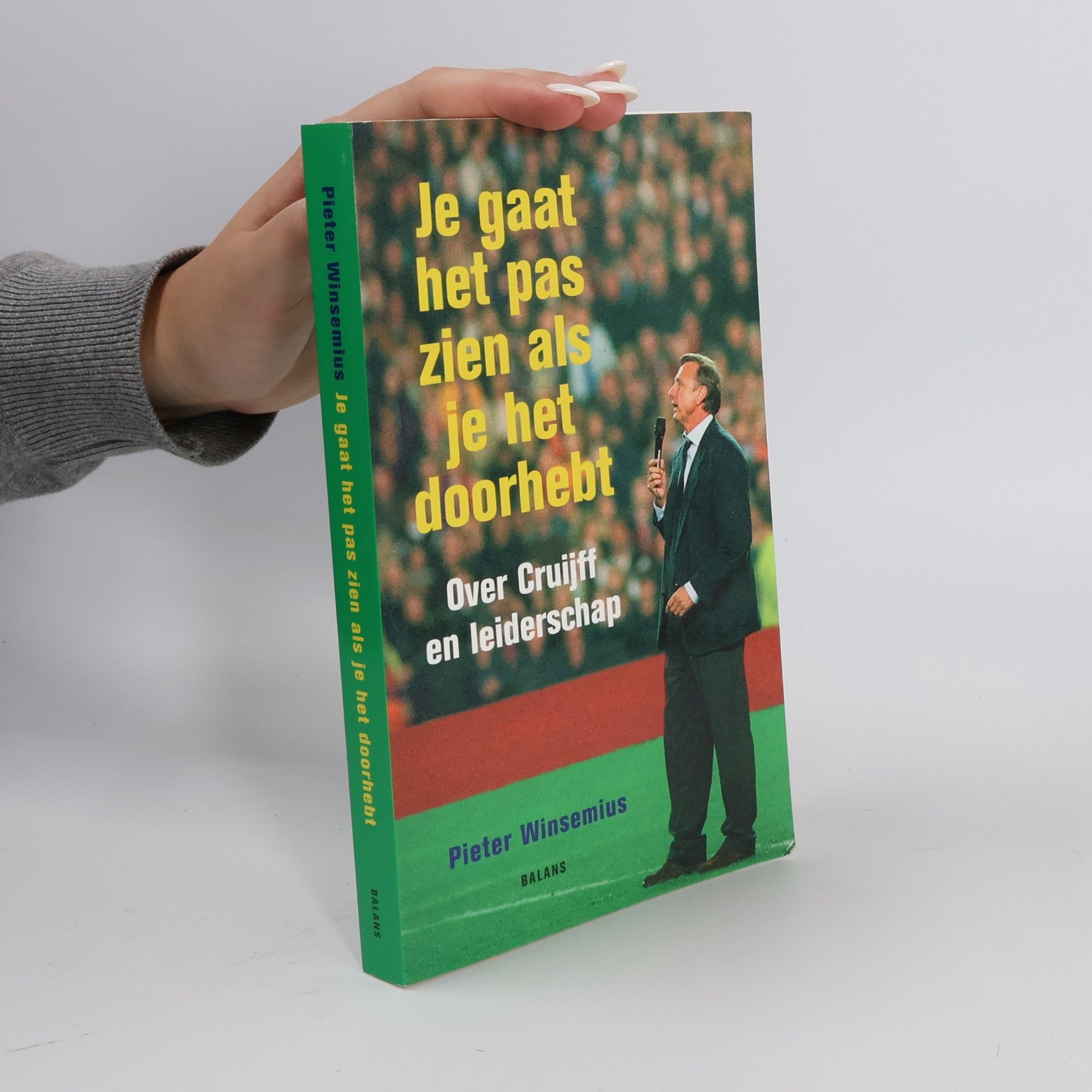 Pieter Winsemius Je gaat het pas zien als je het doorhebt