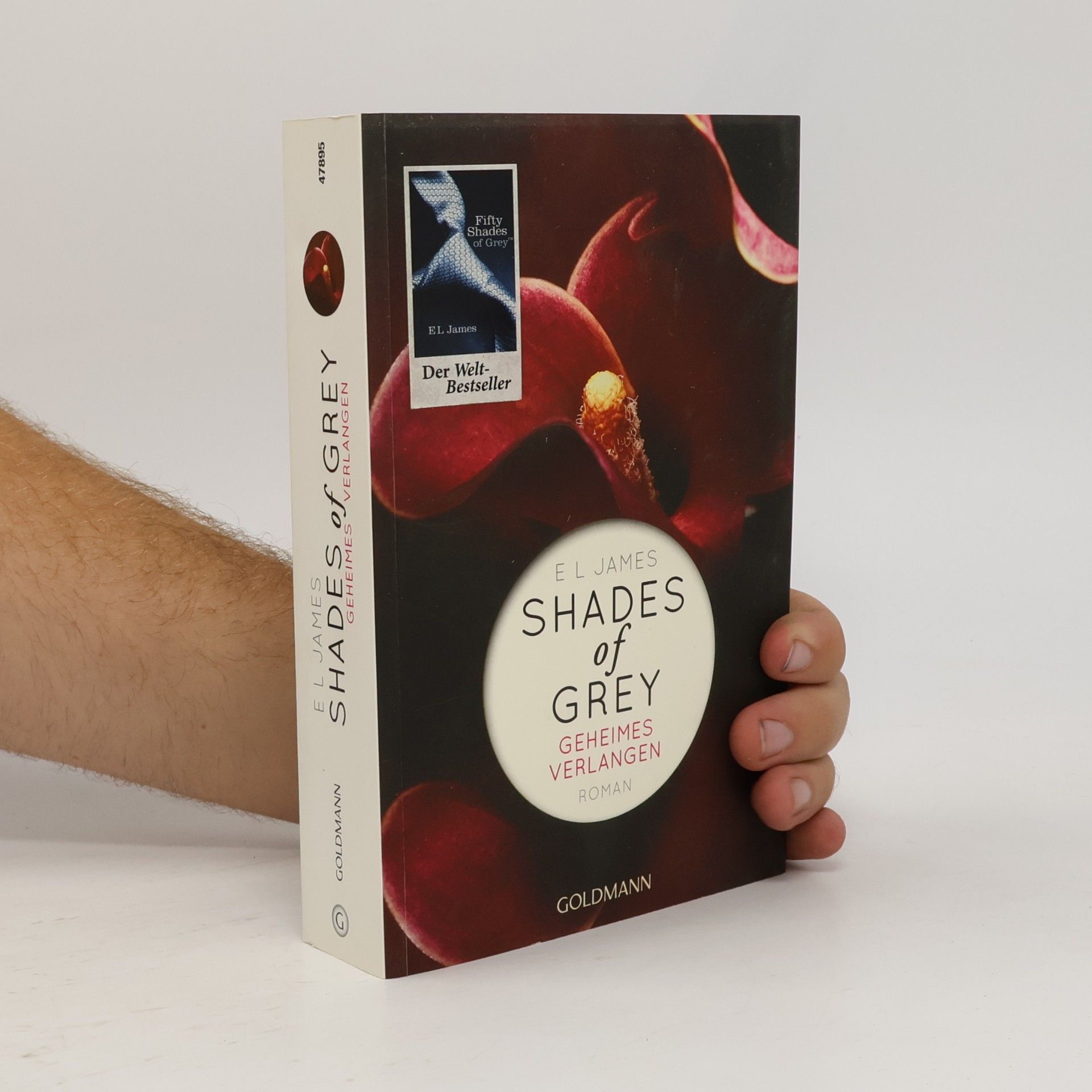 Shades of Grey. Geheimes Verlangen