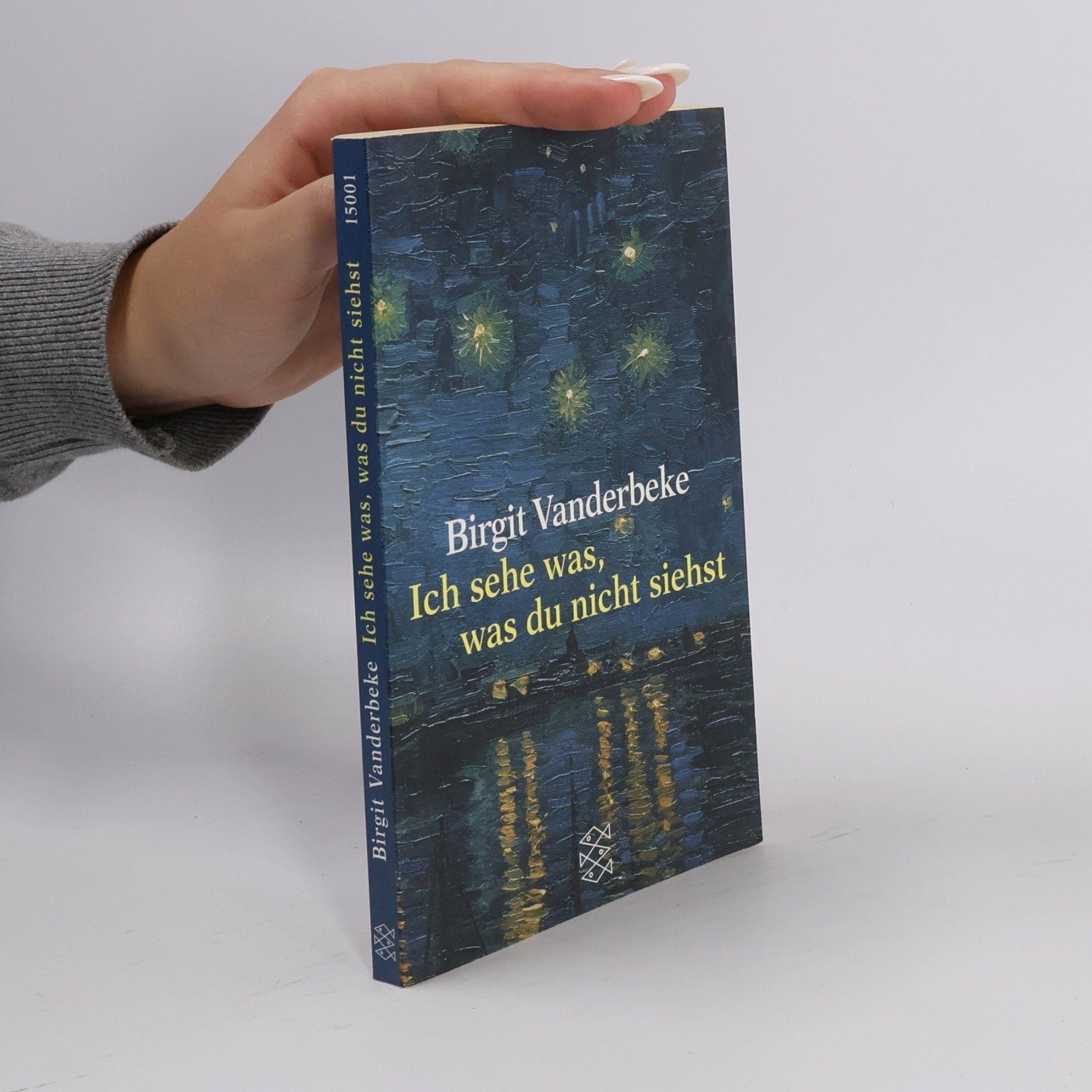 Birgit Vanderbeke Ich sehe was, was du nicht siehst