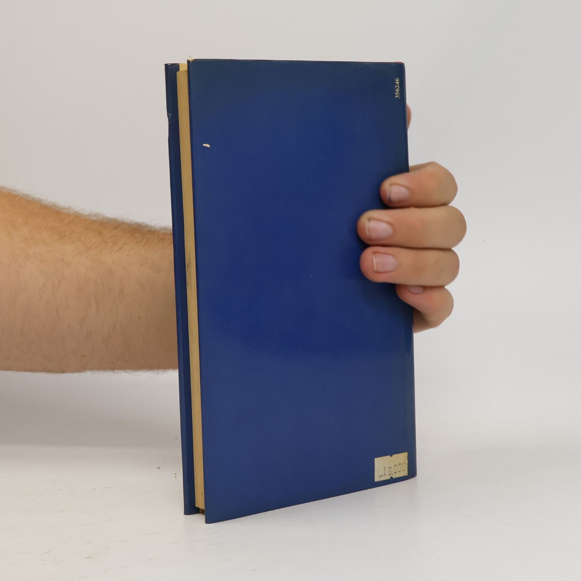 Russell Hoban Diario della tartaruga