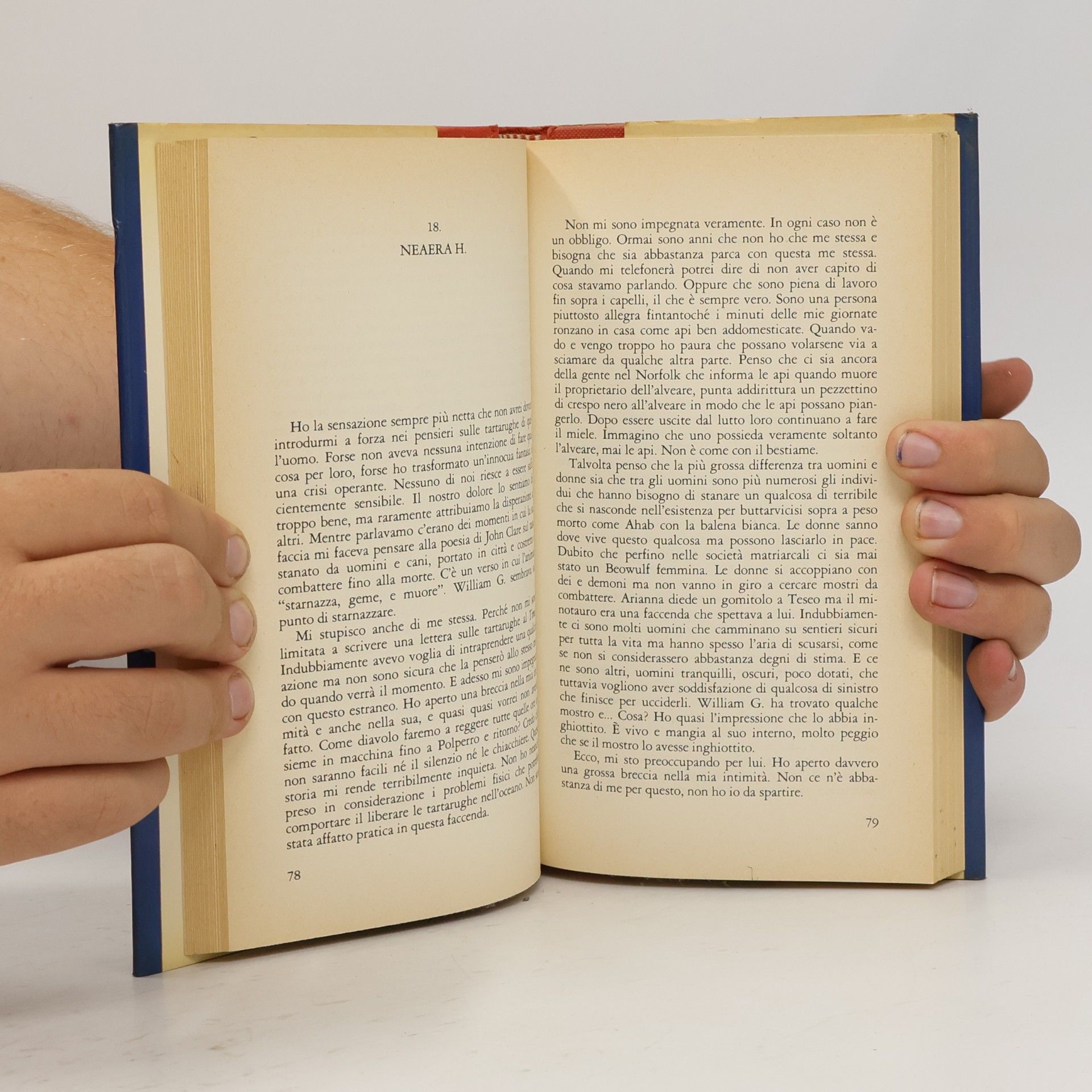 Russell Hoban Diario della tartaruga