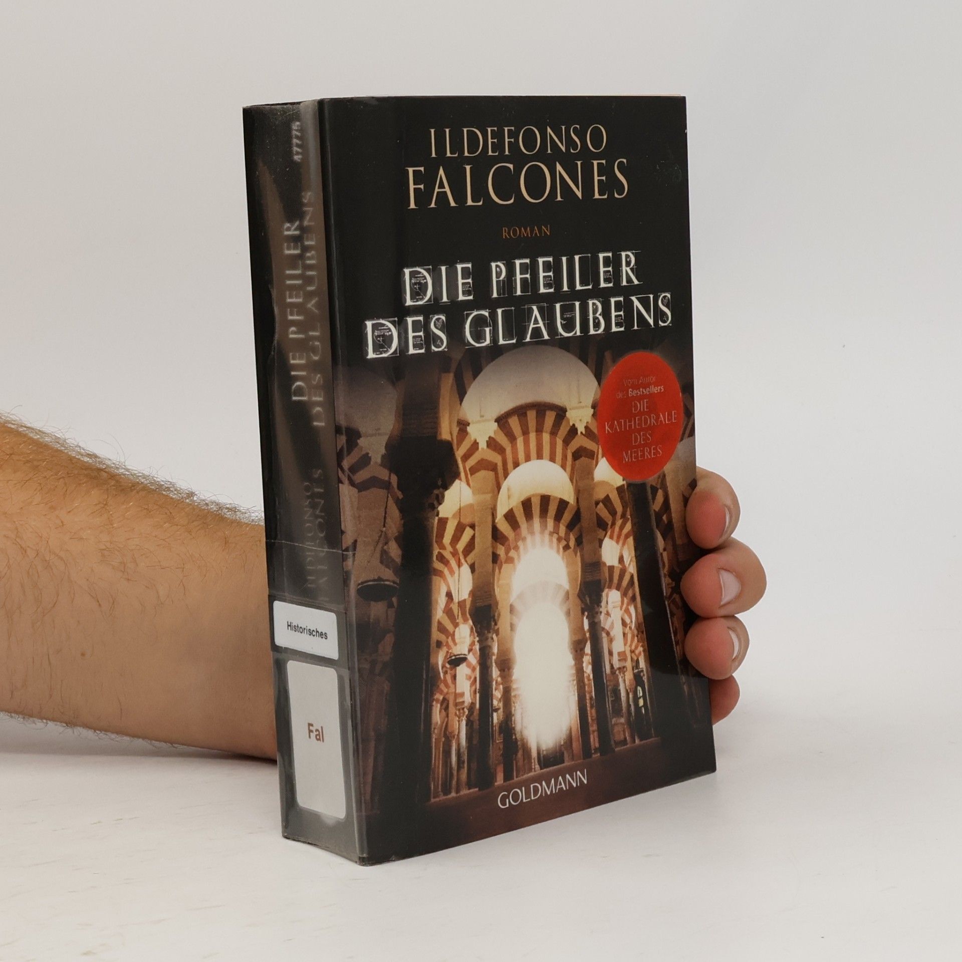 Ildefonso Falcones Die Pfeiler des Glaubens