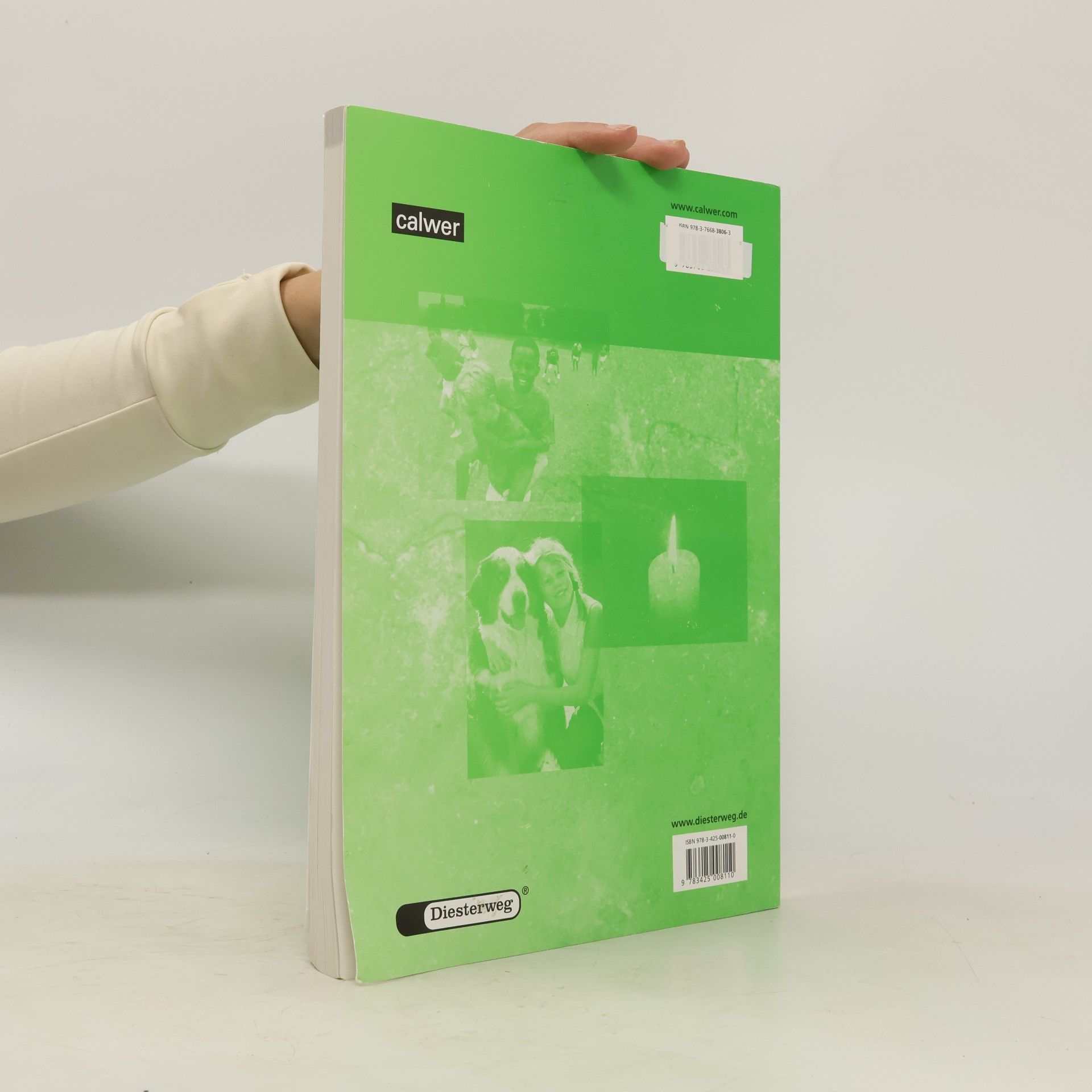 Walter Traeger Mathematisches Arbeitsbuch