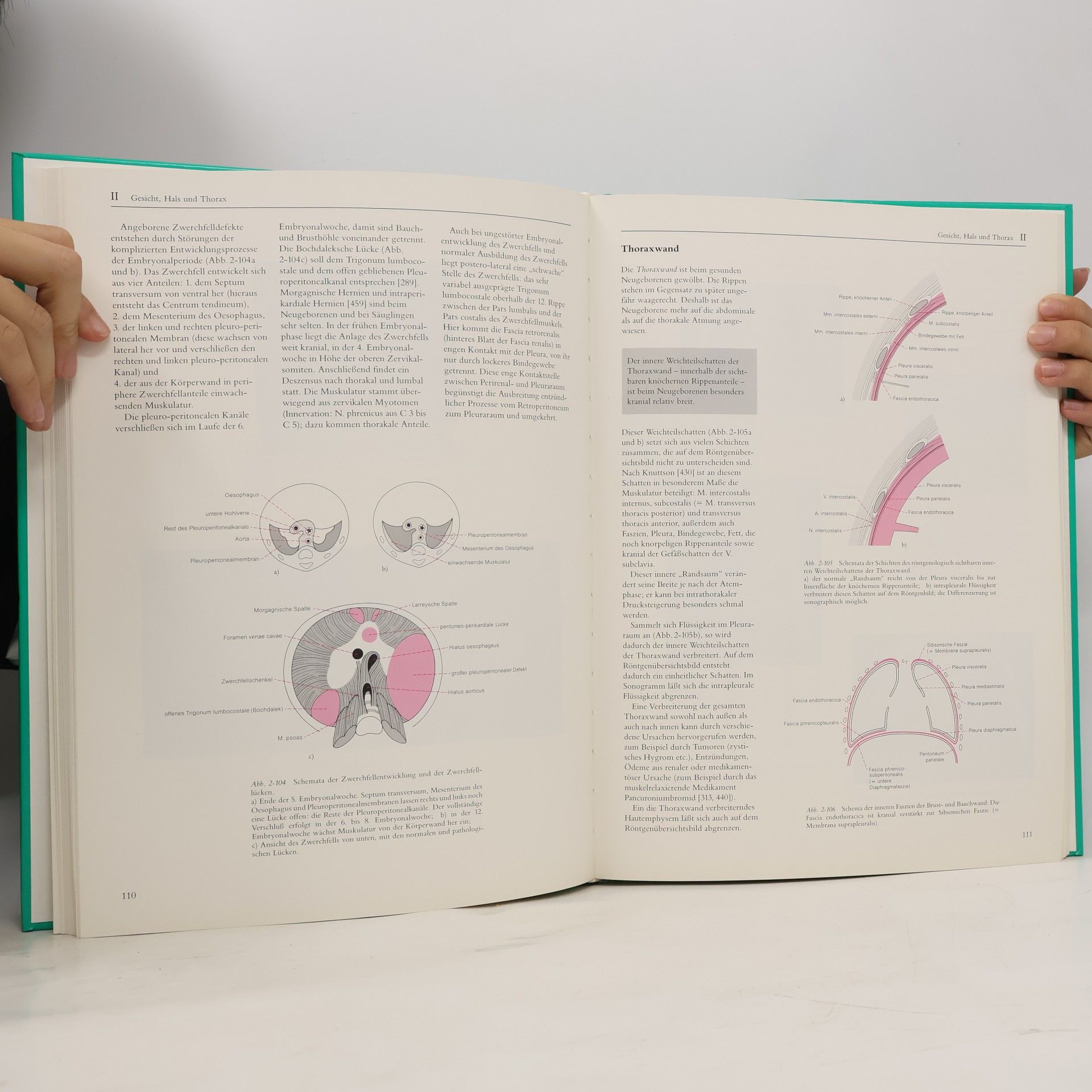 Ernst Richter Radiologische Anatomie des Neugeborenen