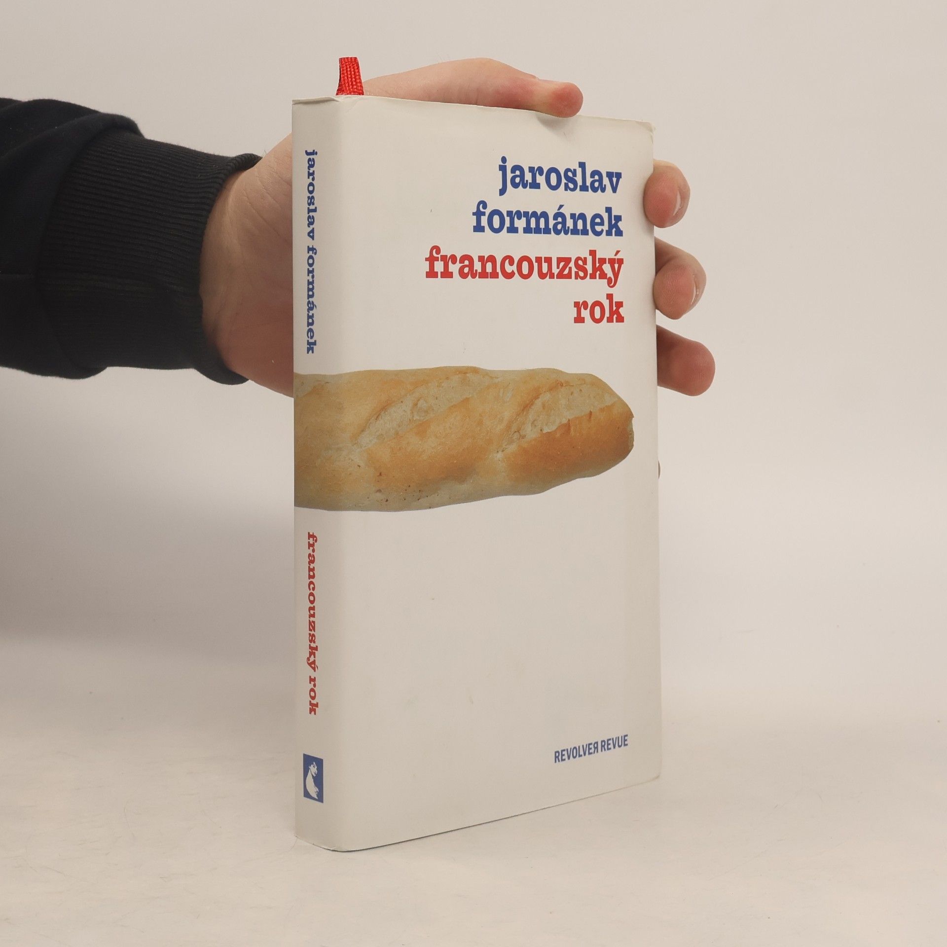 Jaroslav Formánek Francouzský rok