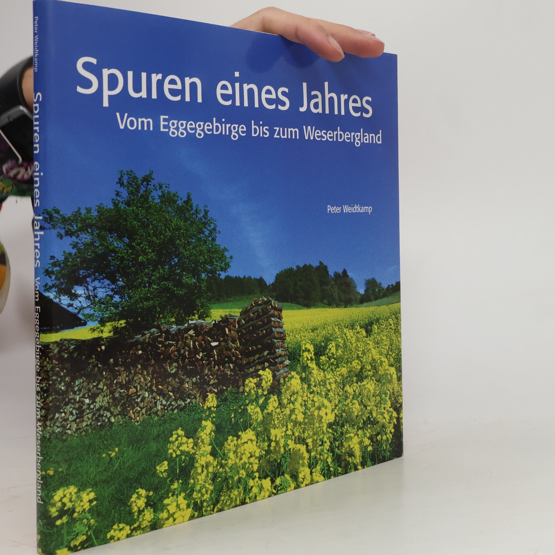 Spuren eines Jahres