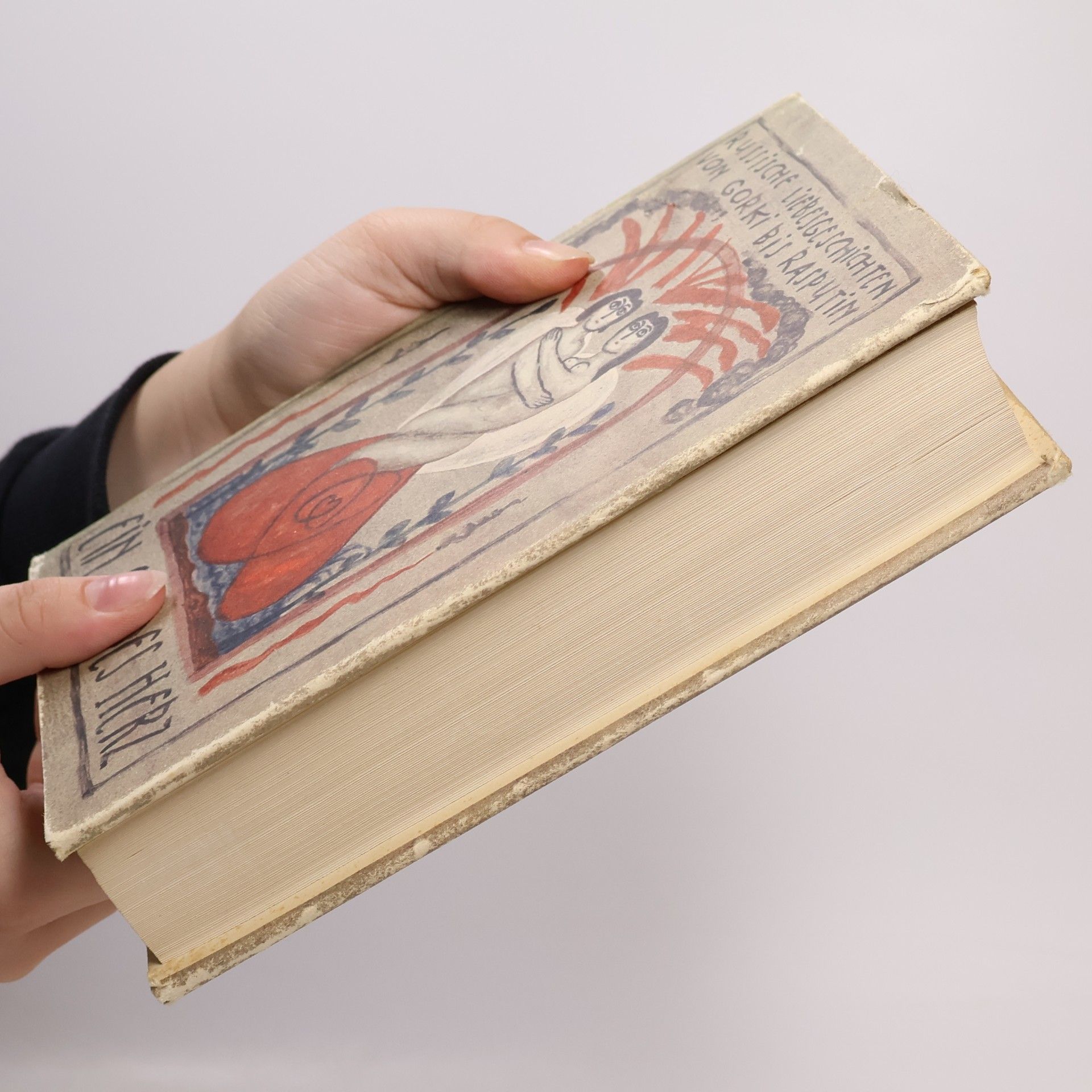 Autores varios Ein wildes Herz. Russische Liebesgeschichten von Gorki bis Rasputin