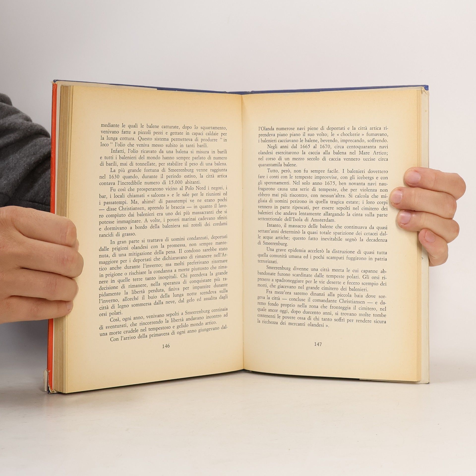 Tina Zuccoli Mondo artico
