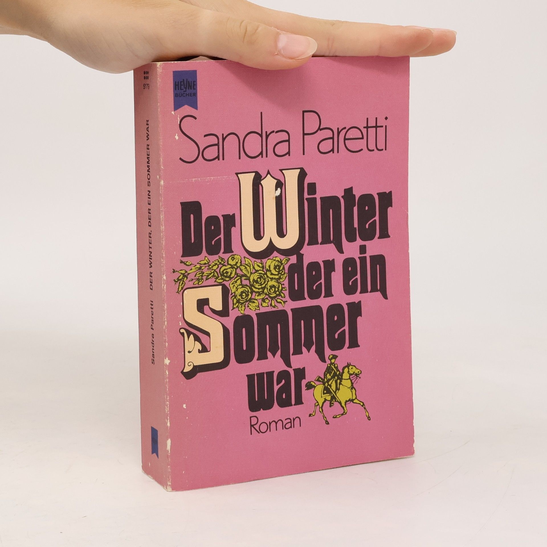 Sandra Paretti Der Winter, der ein Sommer war