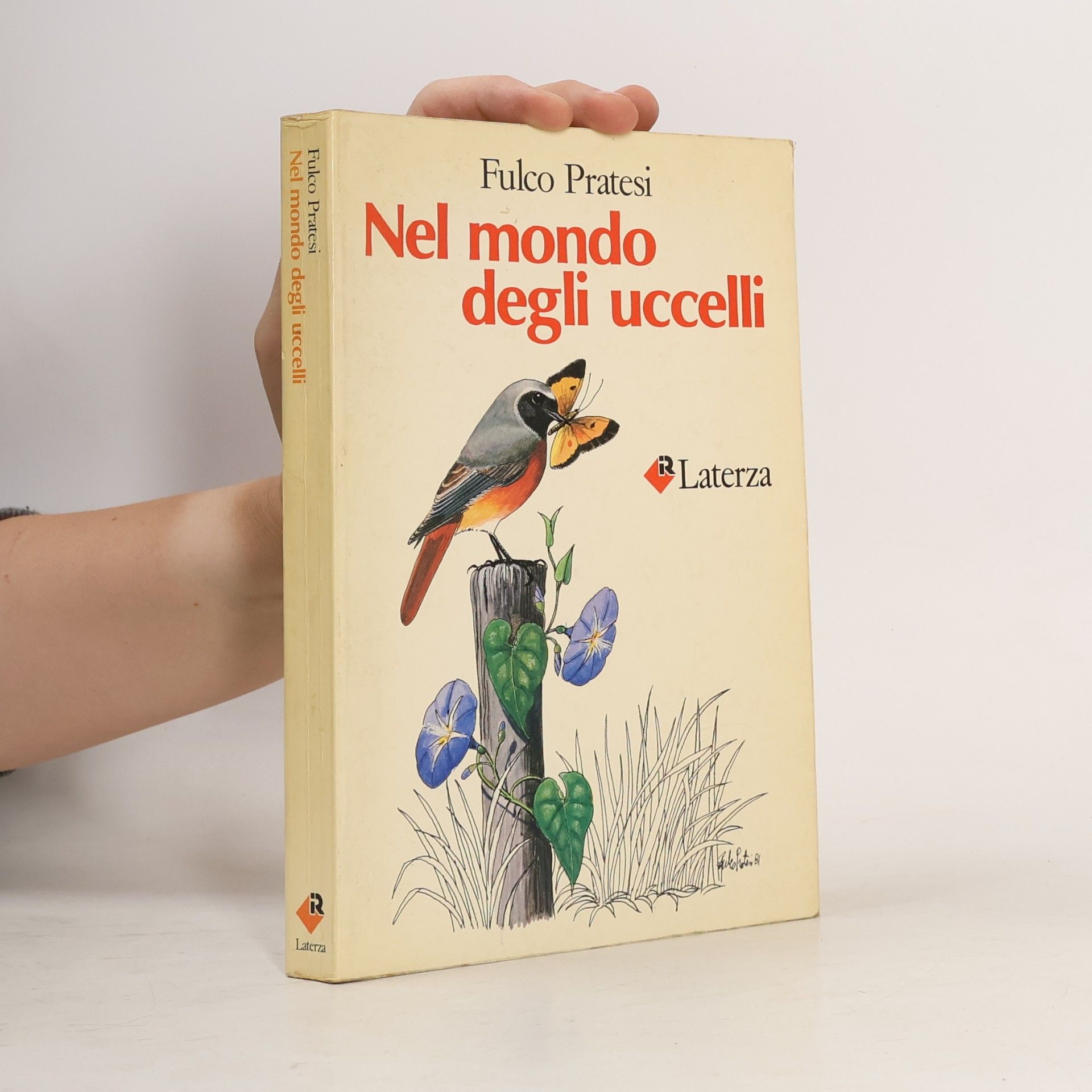 Nel mondo degli uccelli