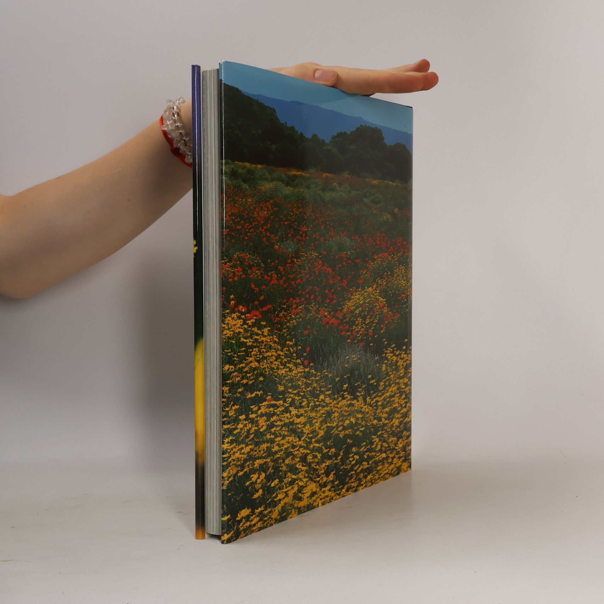 Autores varios Naturschönheiten im Verborgenen
