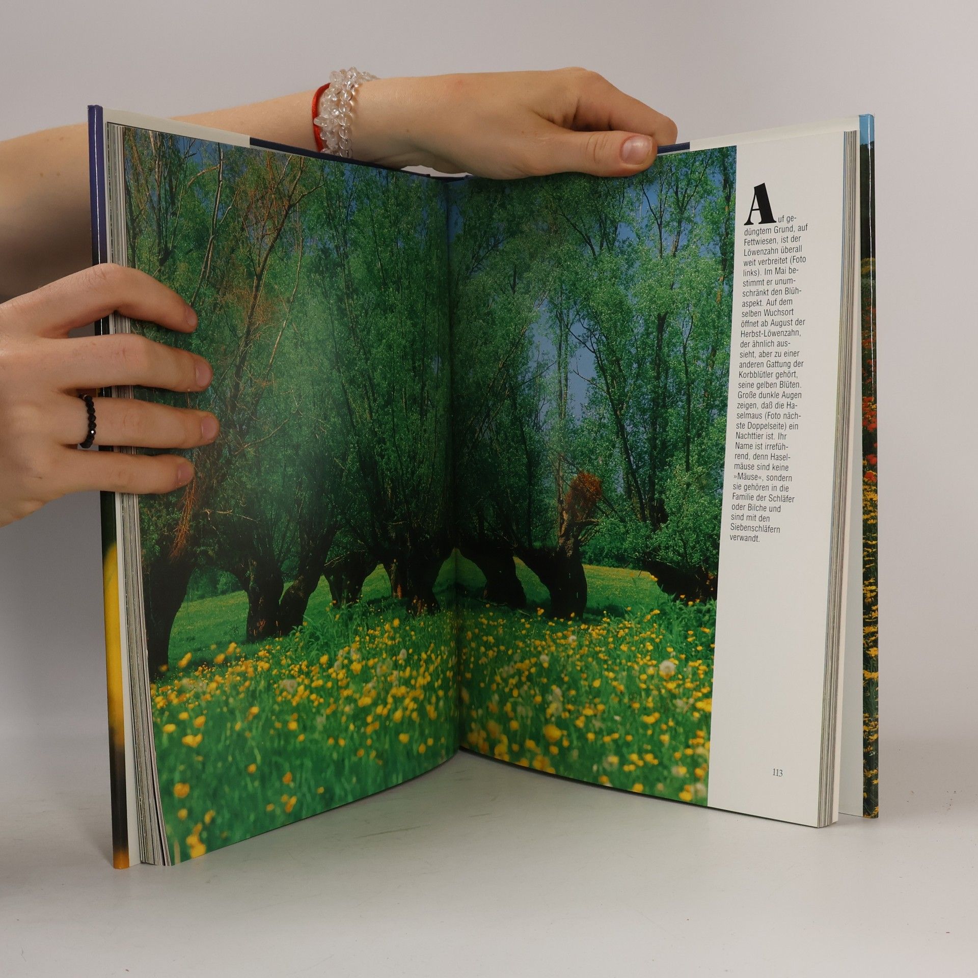 Autores varios Naturschönheiten im Verborgenen