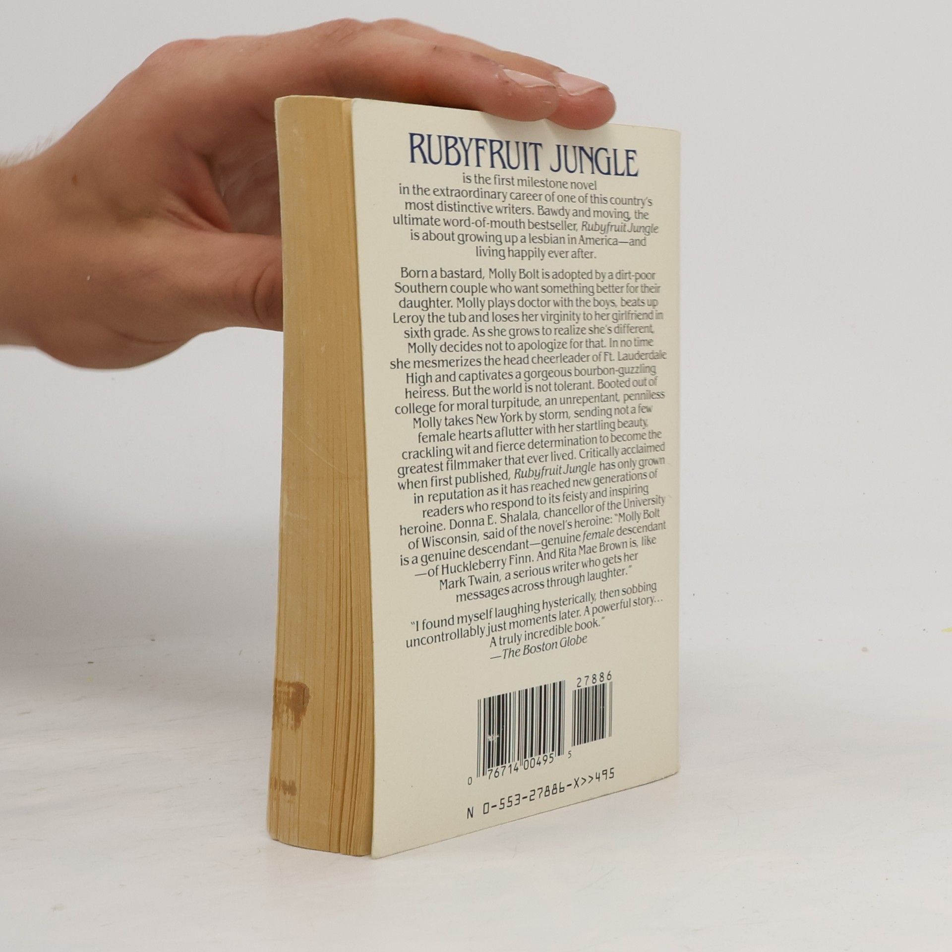 Rita Mae Brown Rubyfruit Jungle