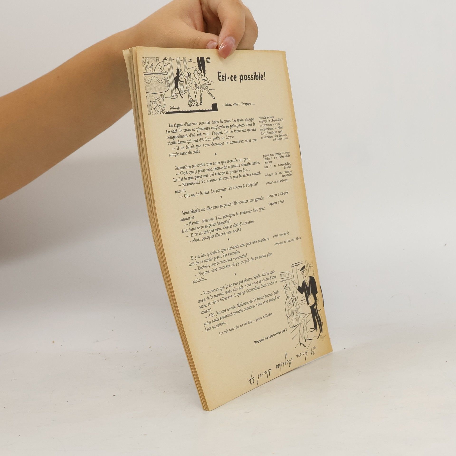 Autorenkollektiv Le Journal Francais