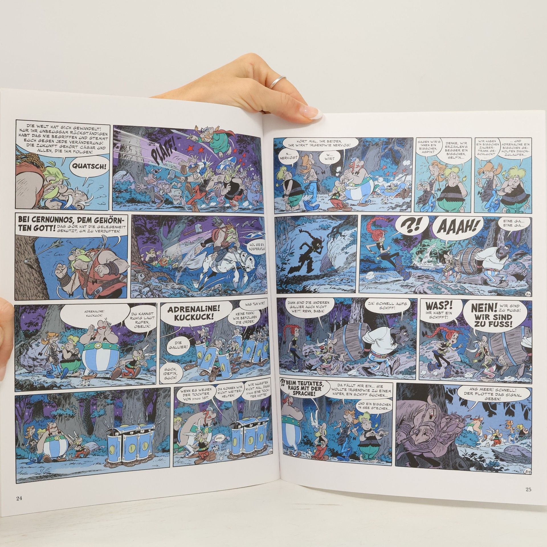 Jean-Yves Ferri Asterix 38