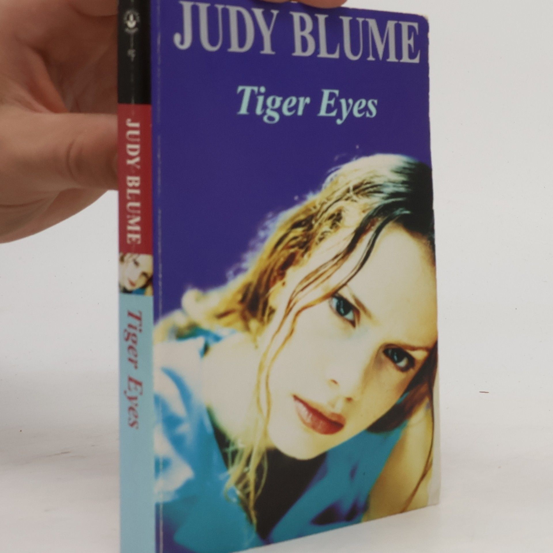 Judy Blume Tiger Eyes