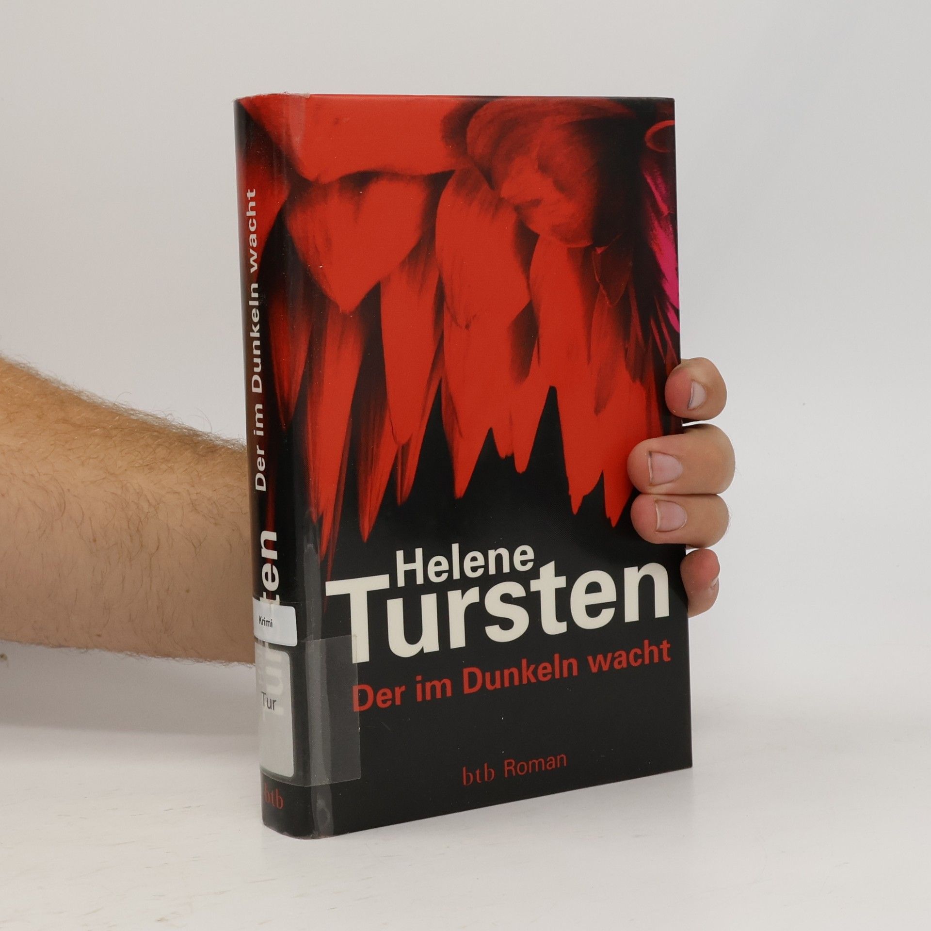 Helene Tursten Der im Dunkeln wacht