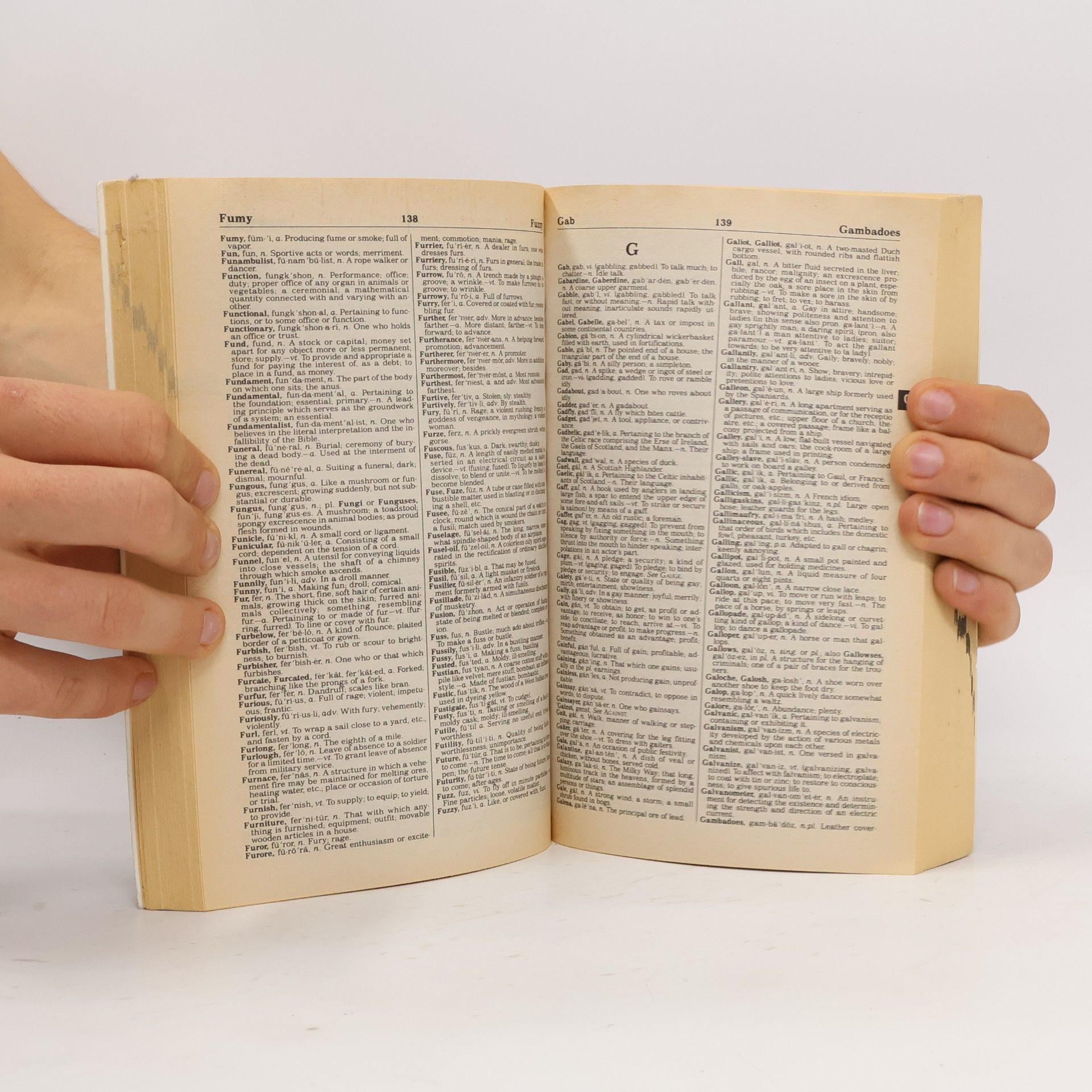 Various authors New Webster's Expanded Dictionary