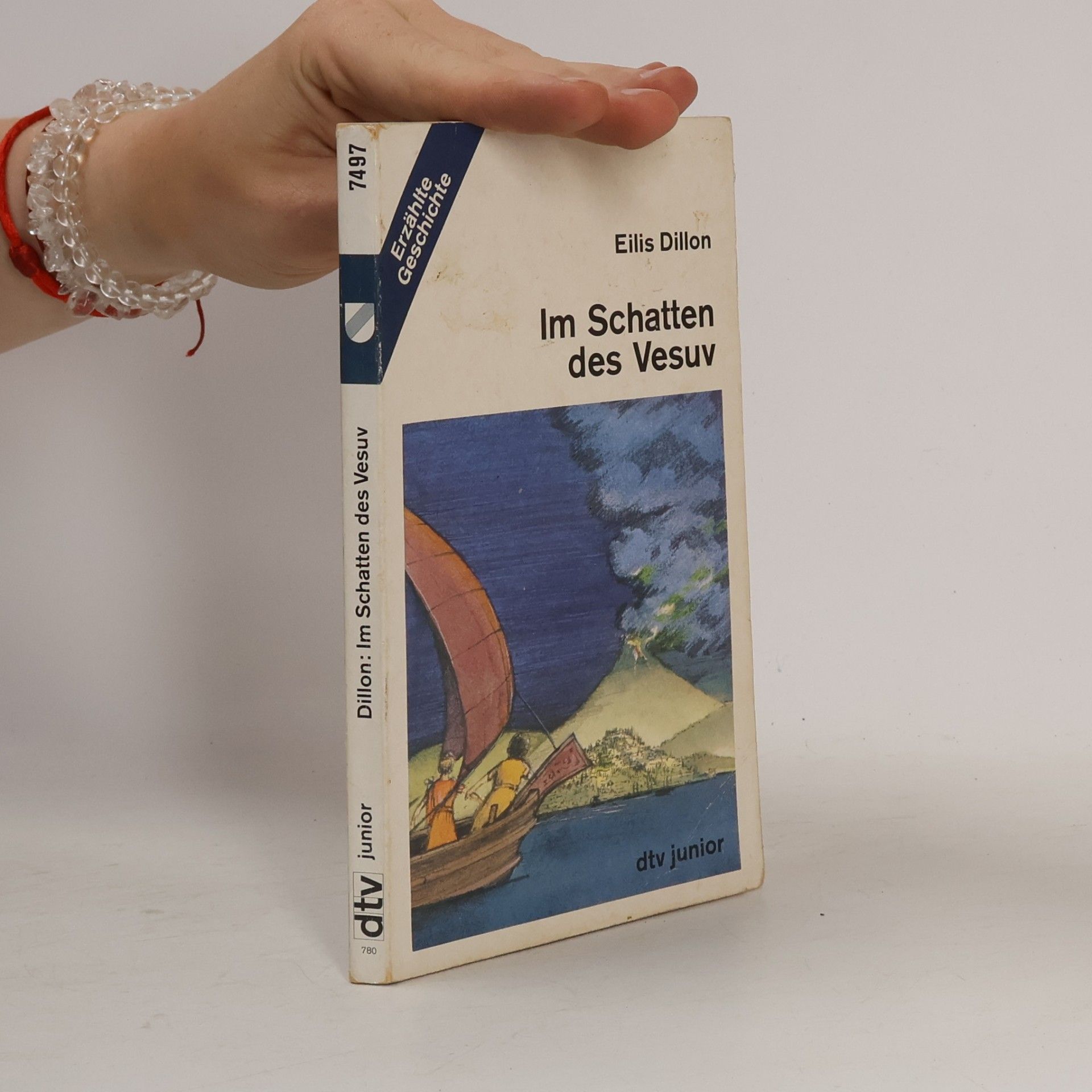 Eili s. Dillon Im Schatten des Vesuv