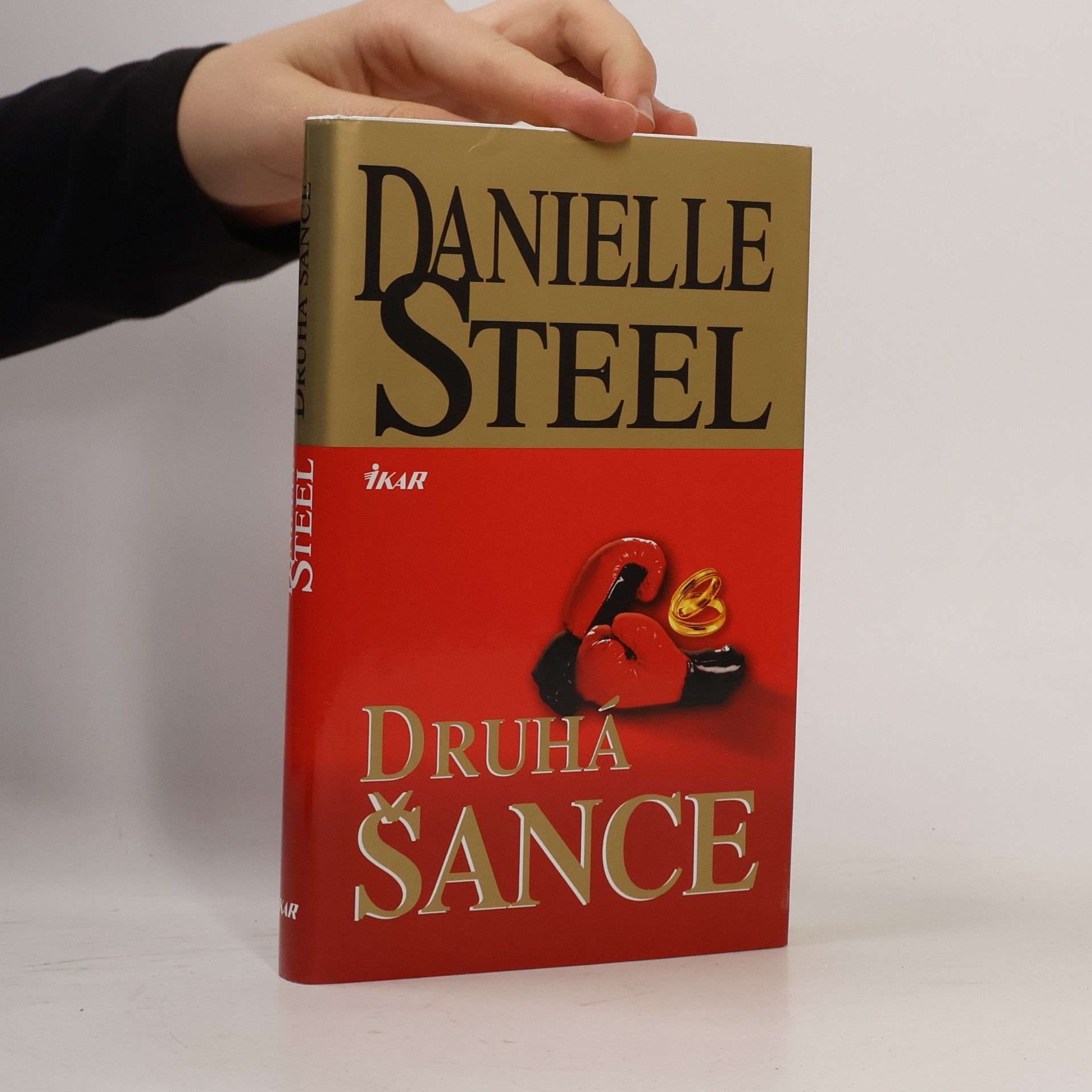 Danielle Steel Druhá šance
