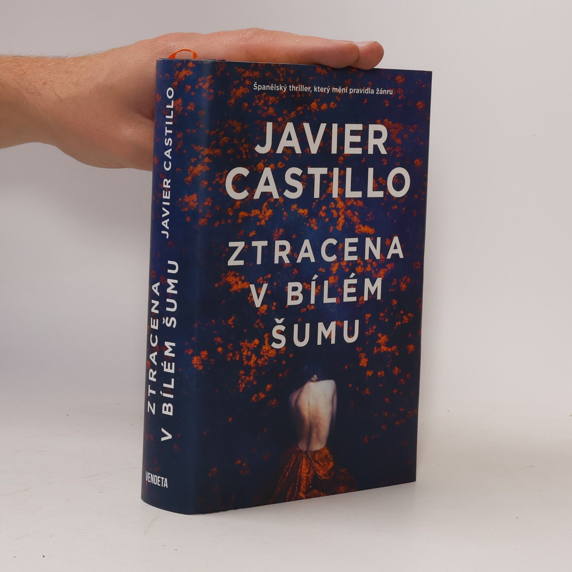 Javier Castillo Ztracena v bílém šumu
