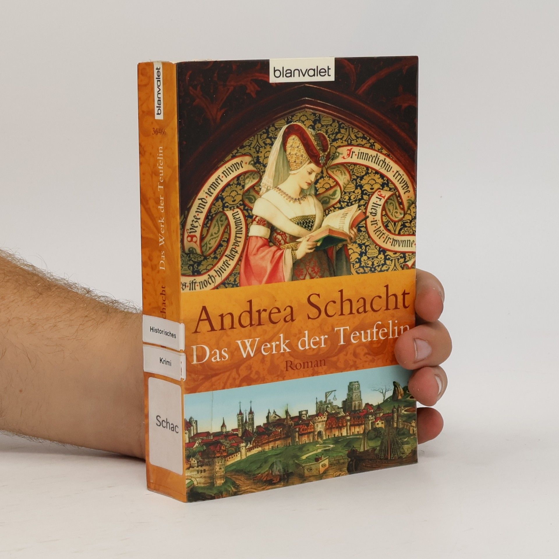 Andrea Schacht Das Werk der Teufelin