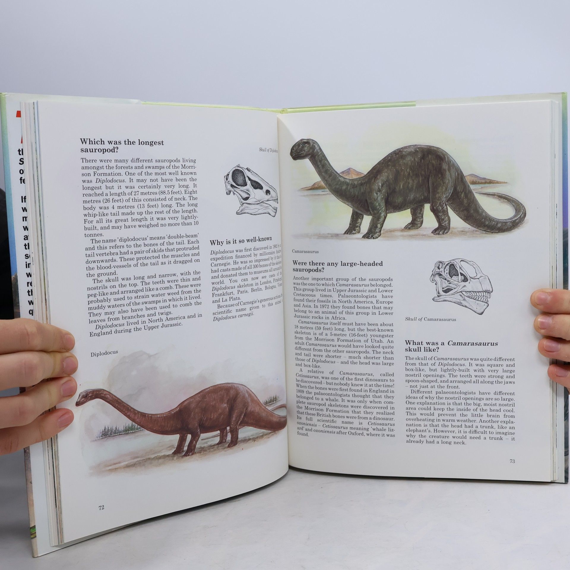 Dougal Dixon Find Out about Dinosaurs