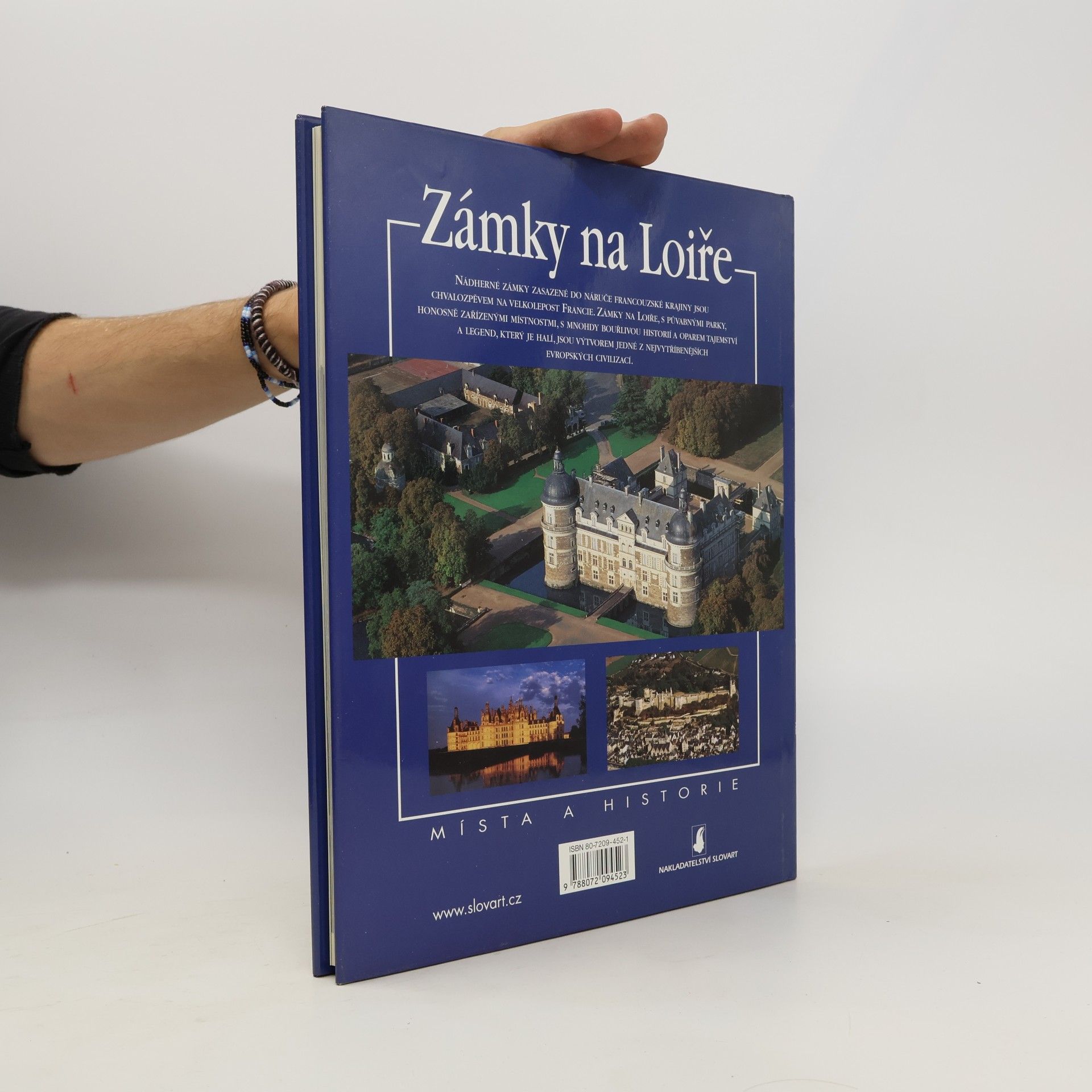 Petr Hejný Zámky na Loiře. Místa a historie