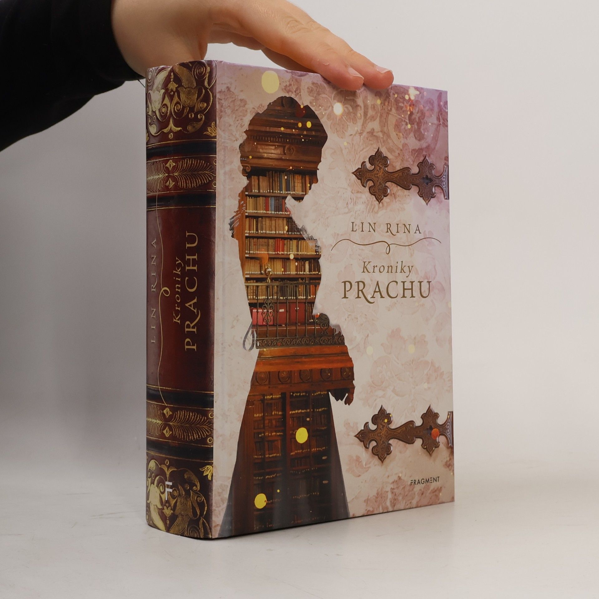 Lin Rina Kroniky prachu