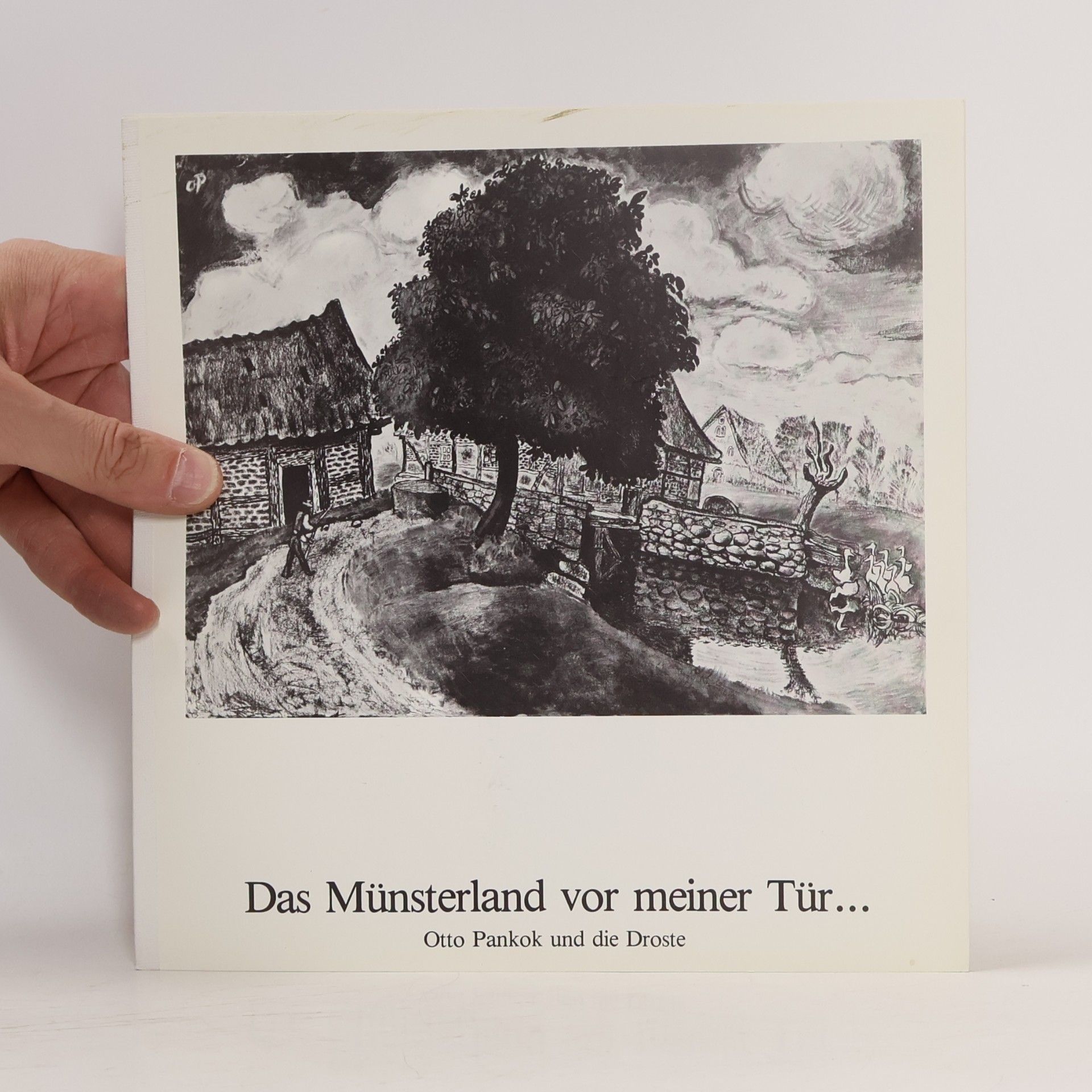kolektiv Das Münsterland vor meiner Tür...
