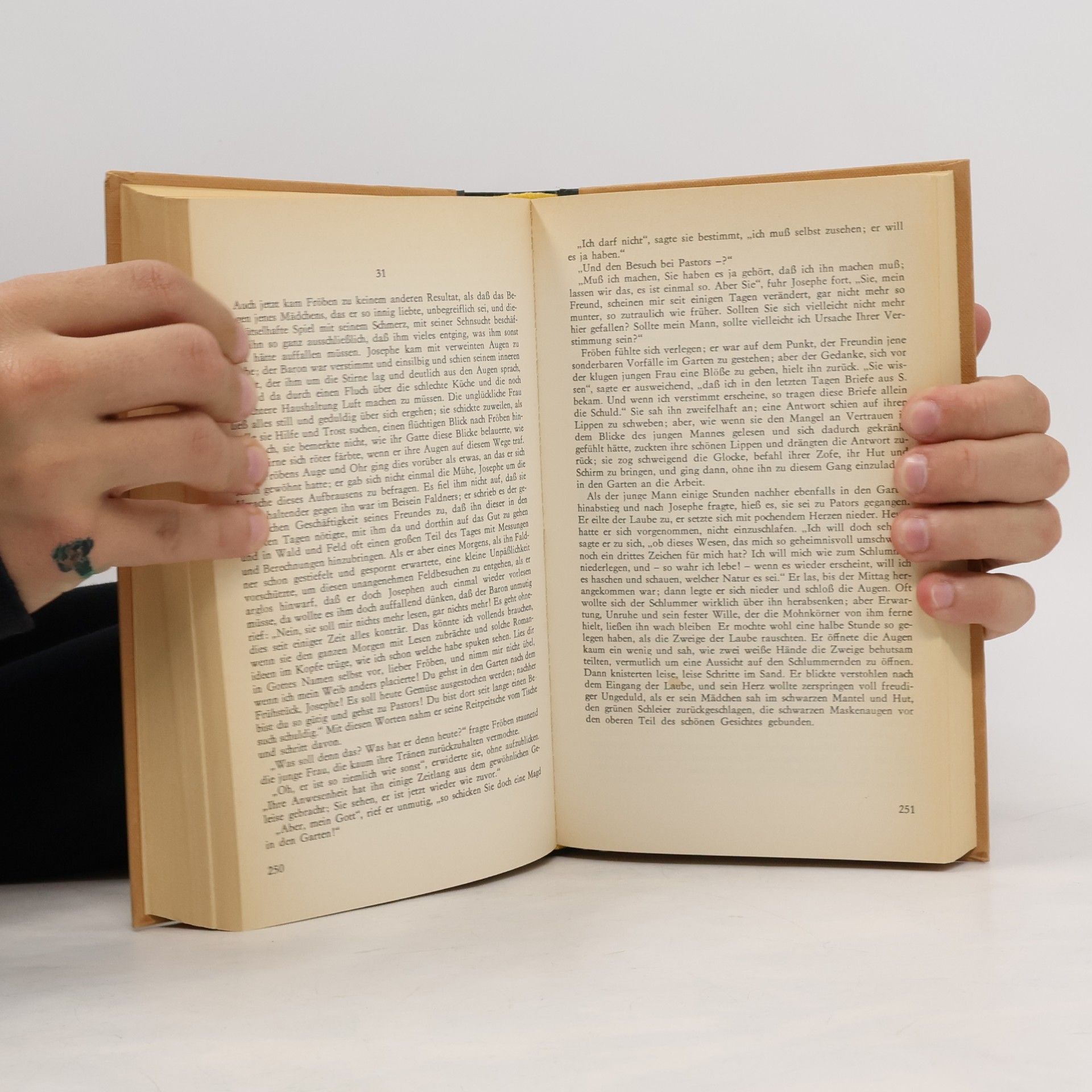 Johann Wolfgang von Goethe Deutsche Meister Erzählungen