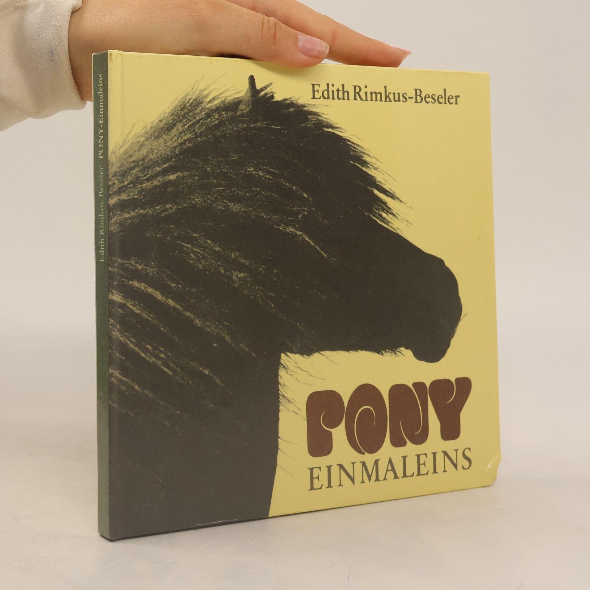 Edith Rimkus-Beseler Pony-Einmaleins