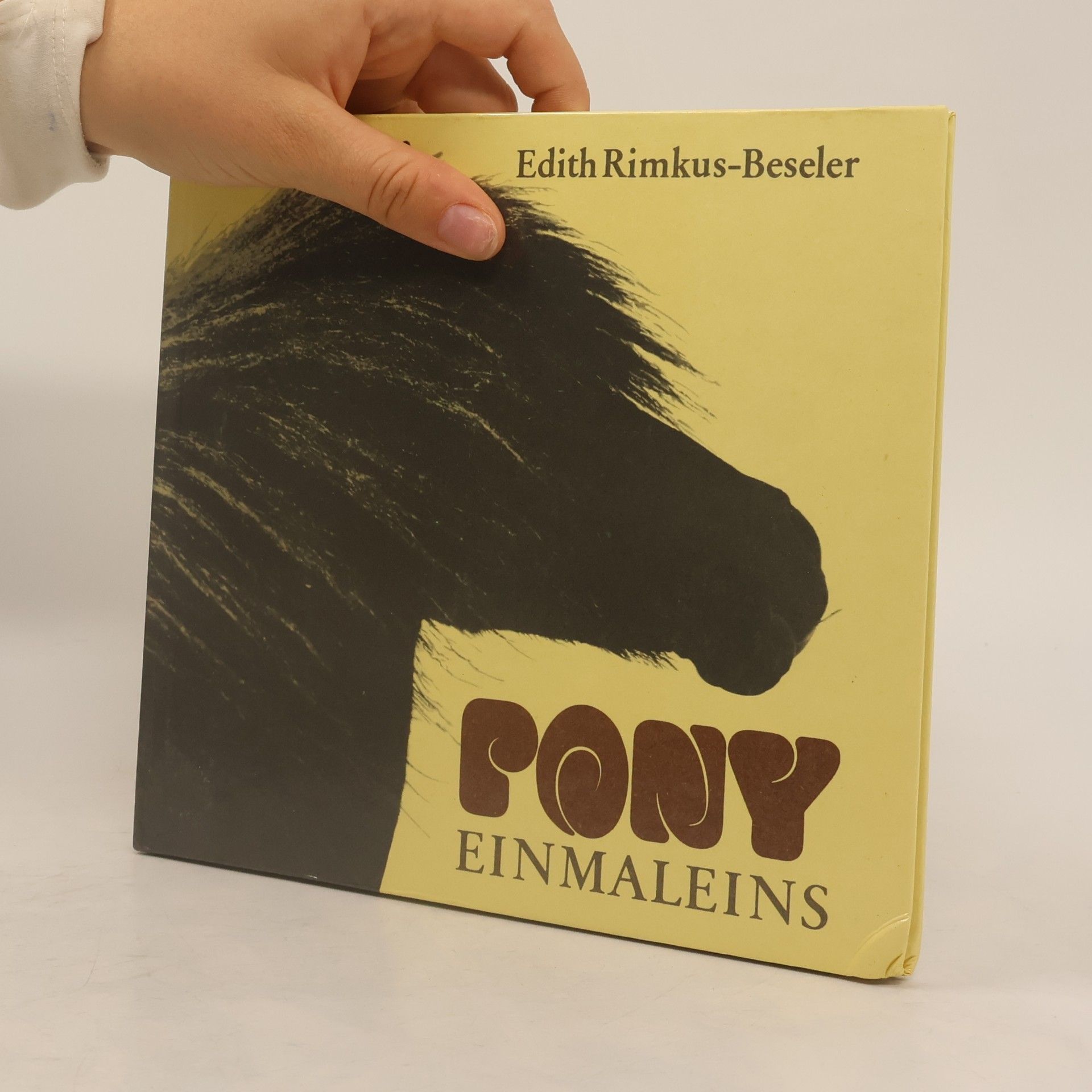 Edith Rimkus-Beseler Pony-Einmaleins