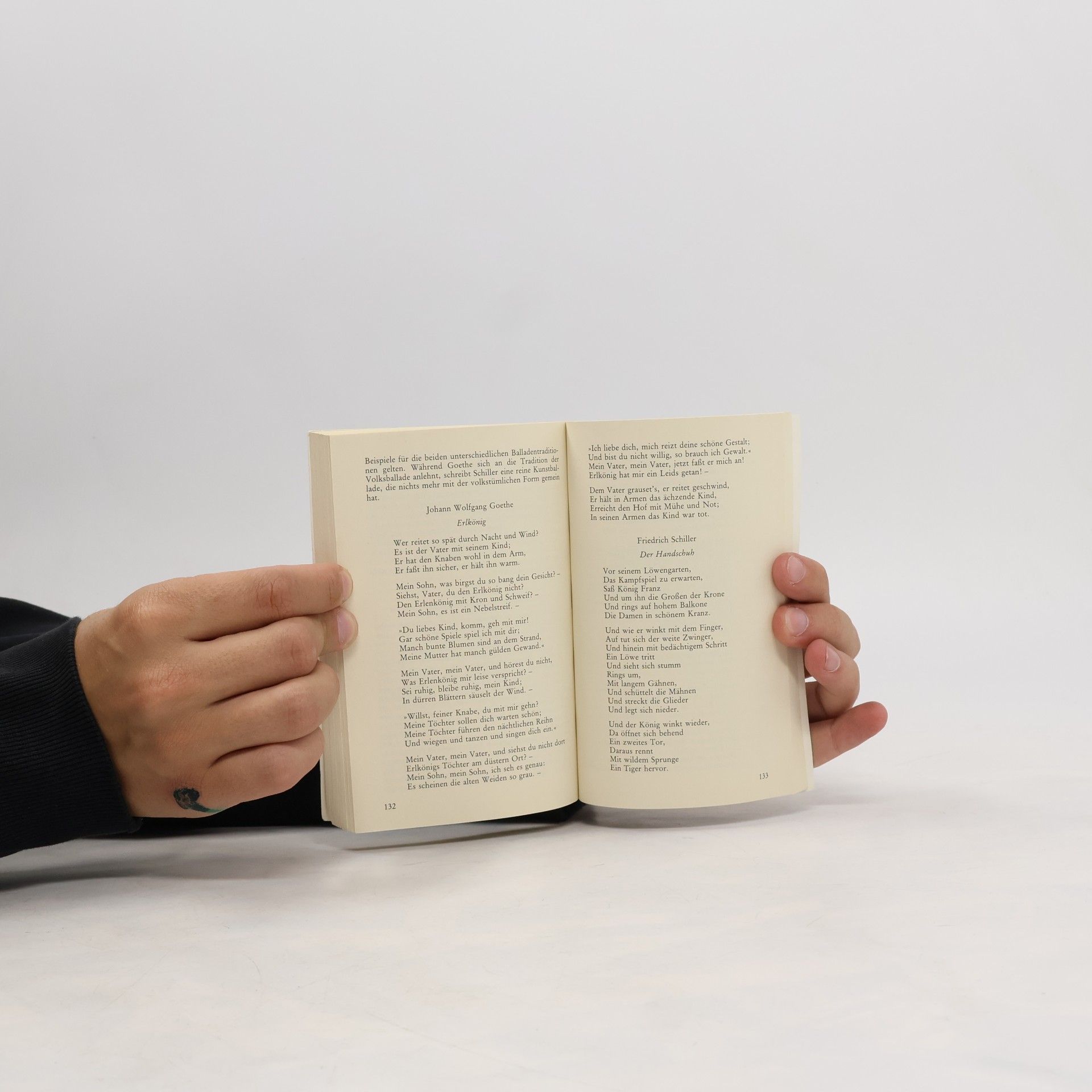 Wie interpretiert man ein Gedicht?