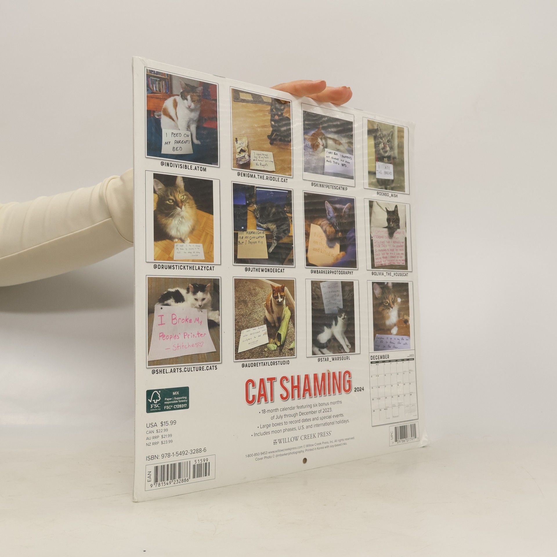 Cat Shaming 2024 Calendar