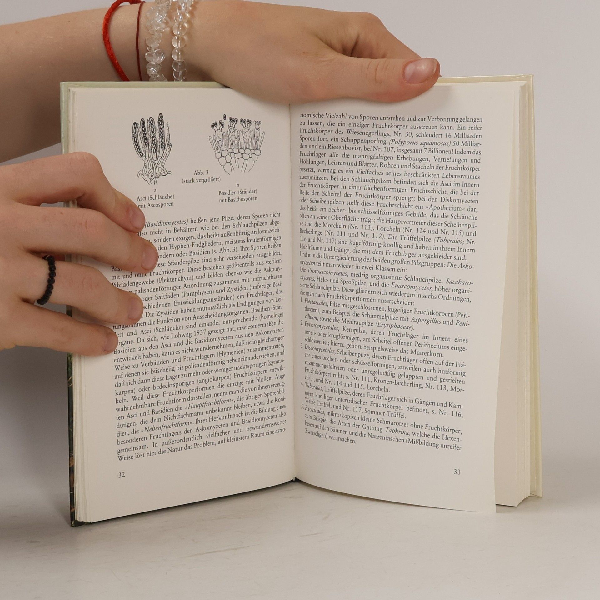 Linus Zeitlmayr Knaurs Pilzbuch