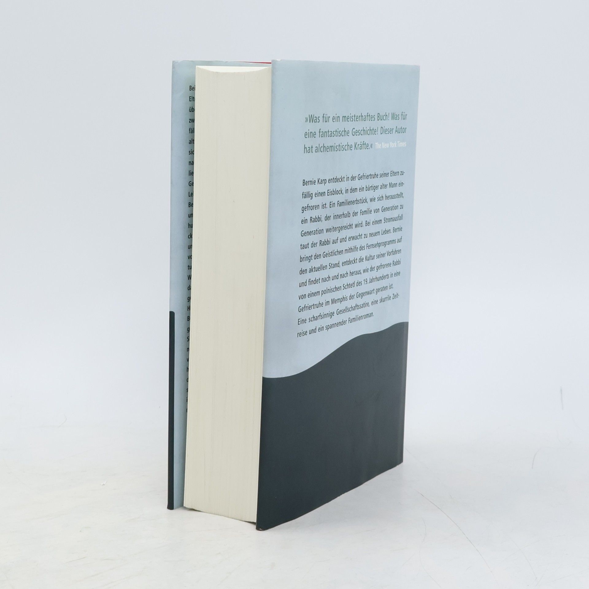 Steve Stern Der gefrorene Rabbi