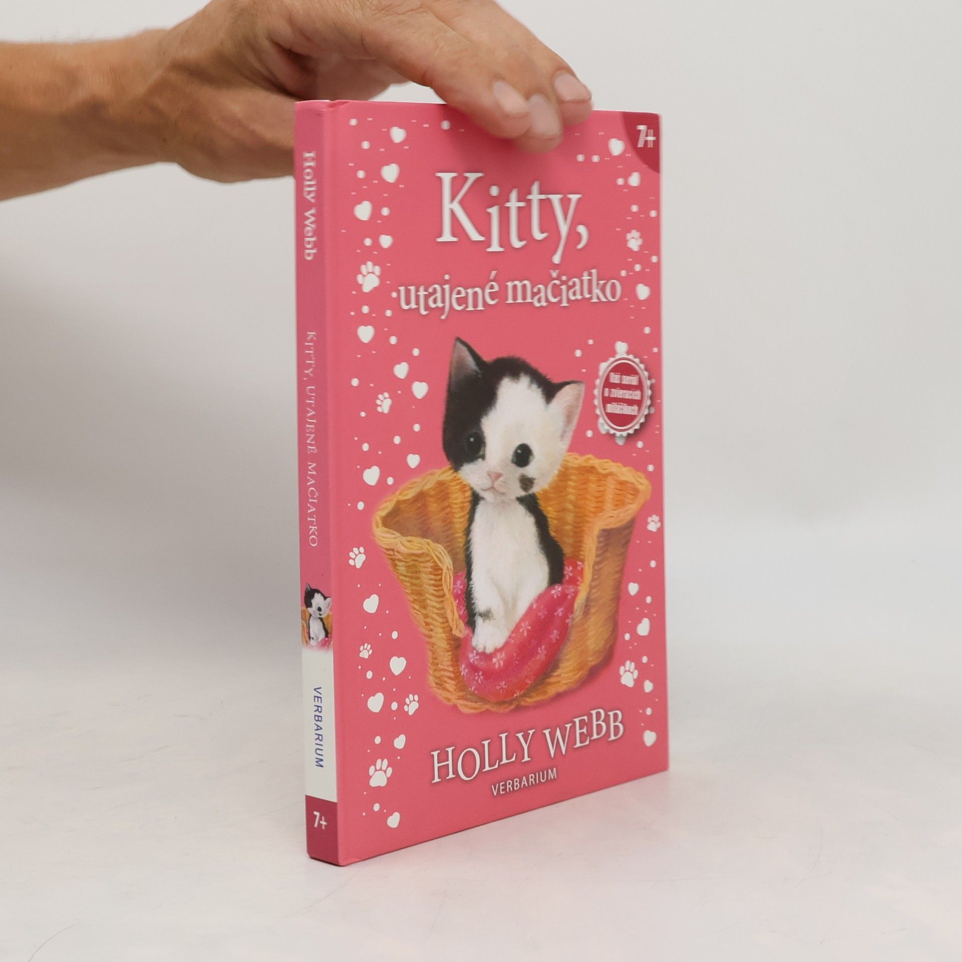 Holly Webb Kitty, utajené mačiatko